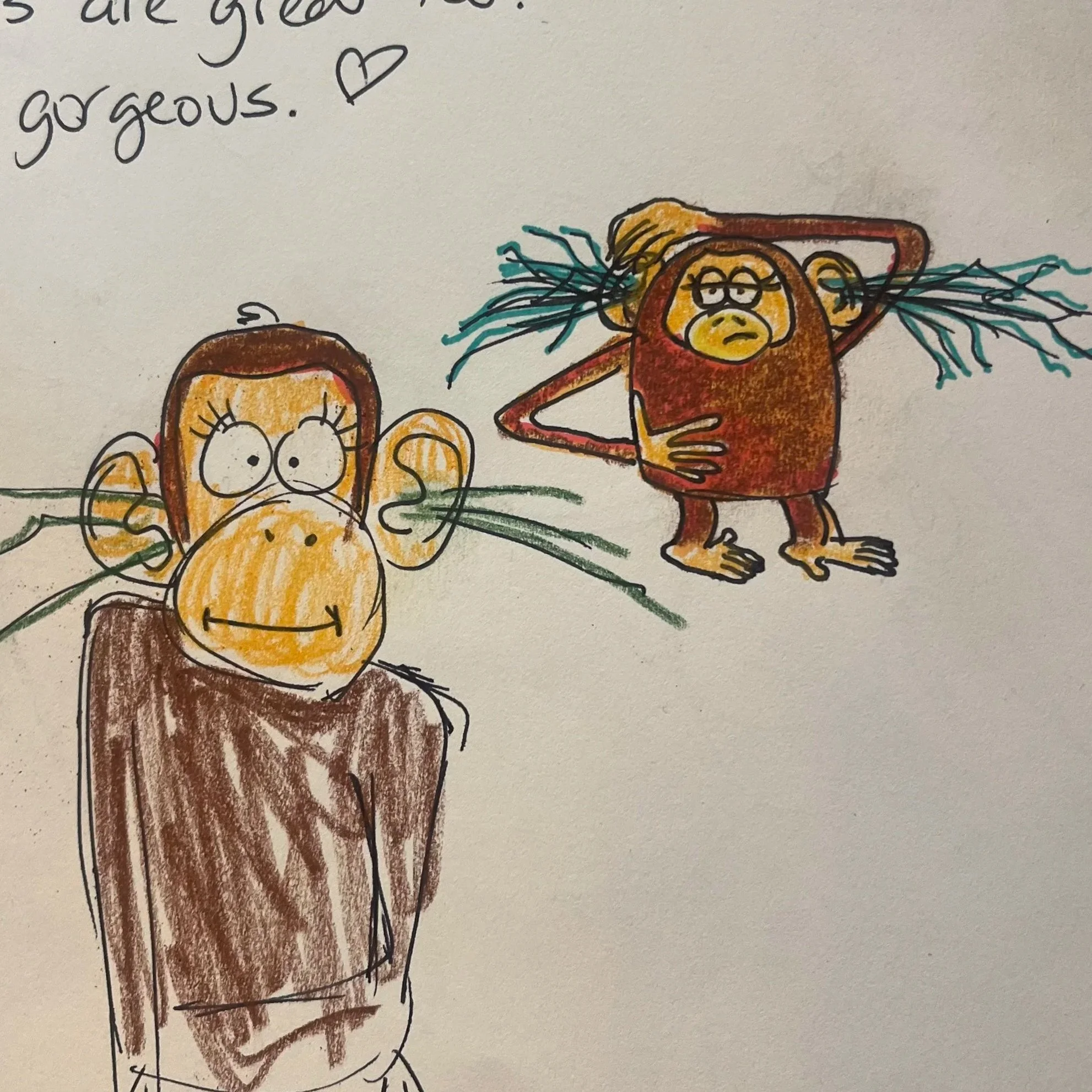 Animals … with Style! picture book