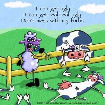 Haiku Ewe comic by Allison Garwood