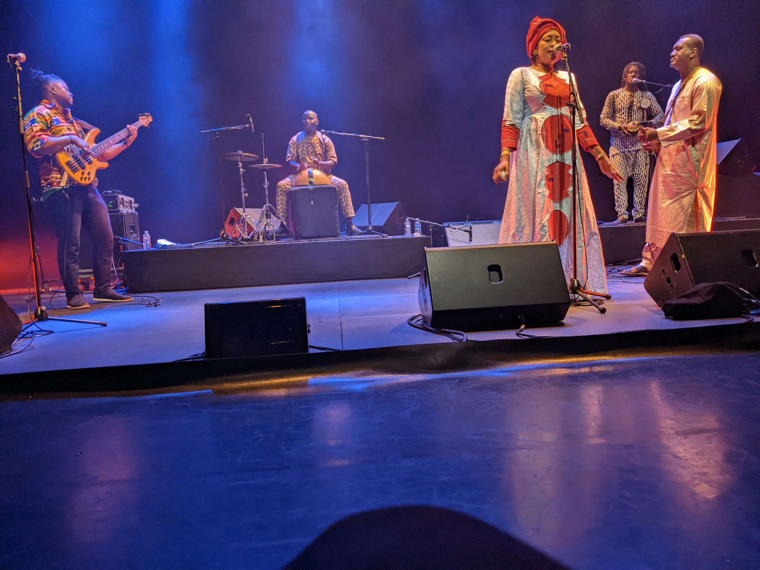 Bassekou Kouyate &amp; Ngoni Ba