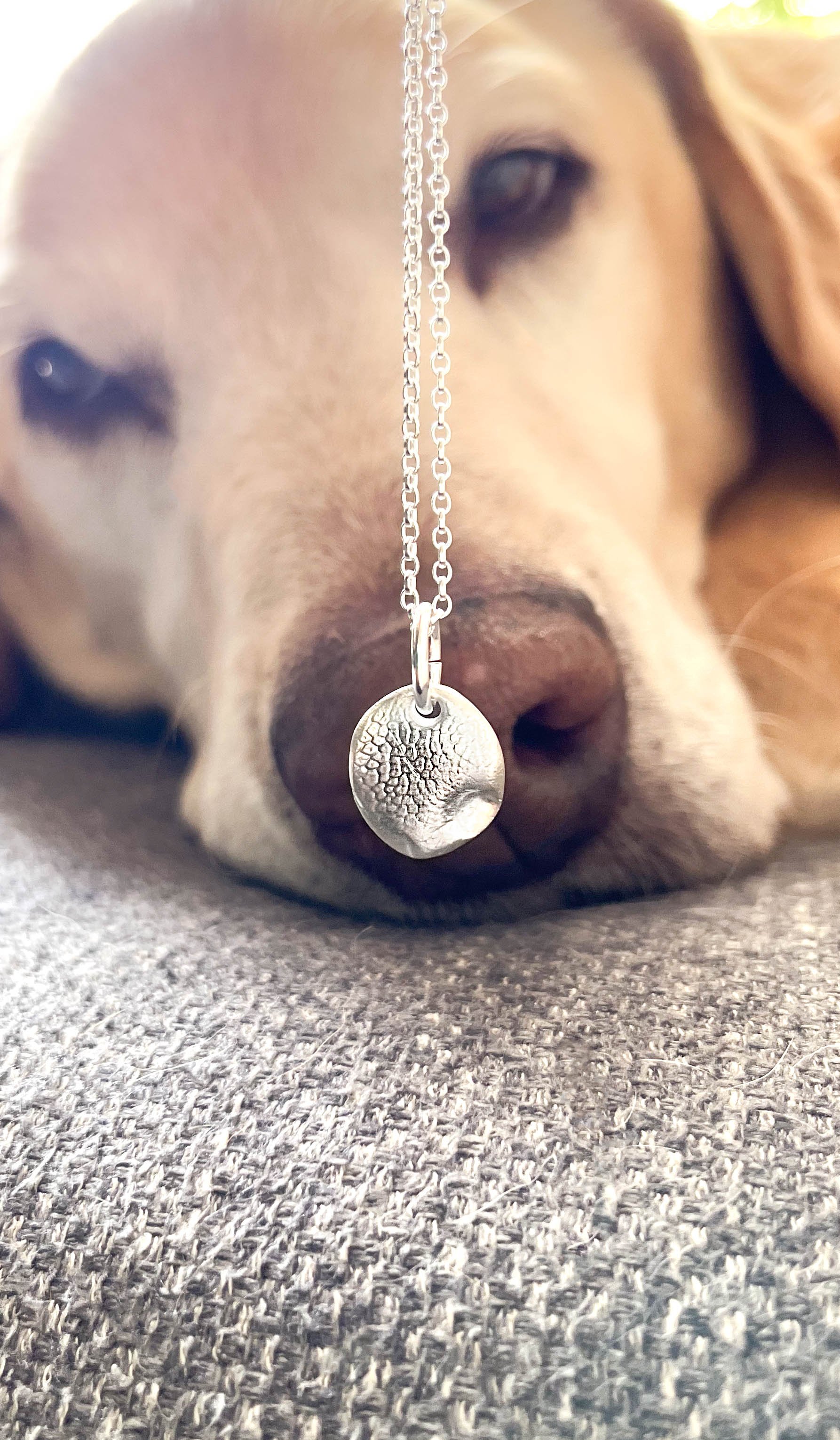 Custom silver dog nose print necklace shown hanging in front of a real dog’s nose. Personalised pet memorial jewellery capturing your dog’s unique nose impression. Ideal gift for dog lovers in the UK.