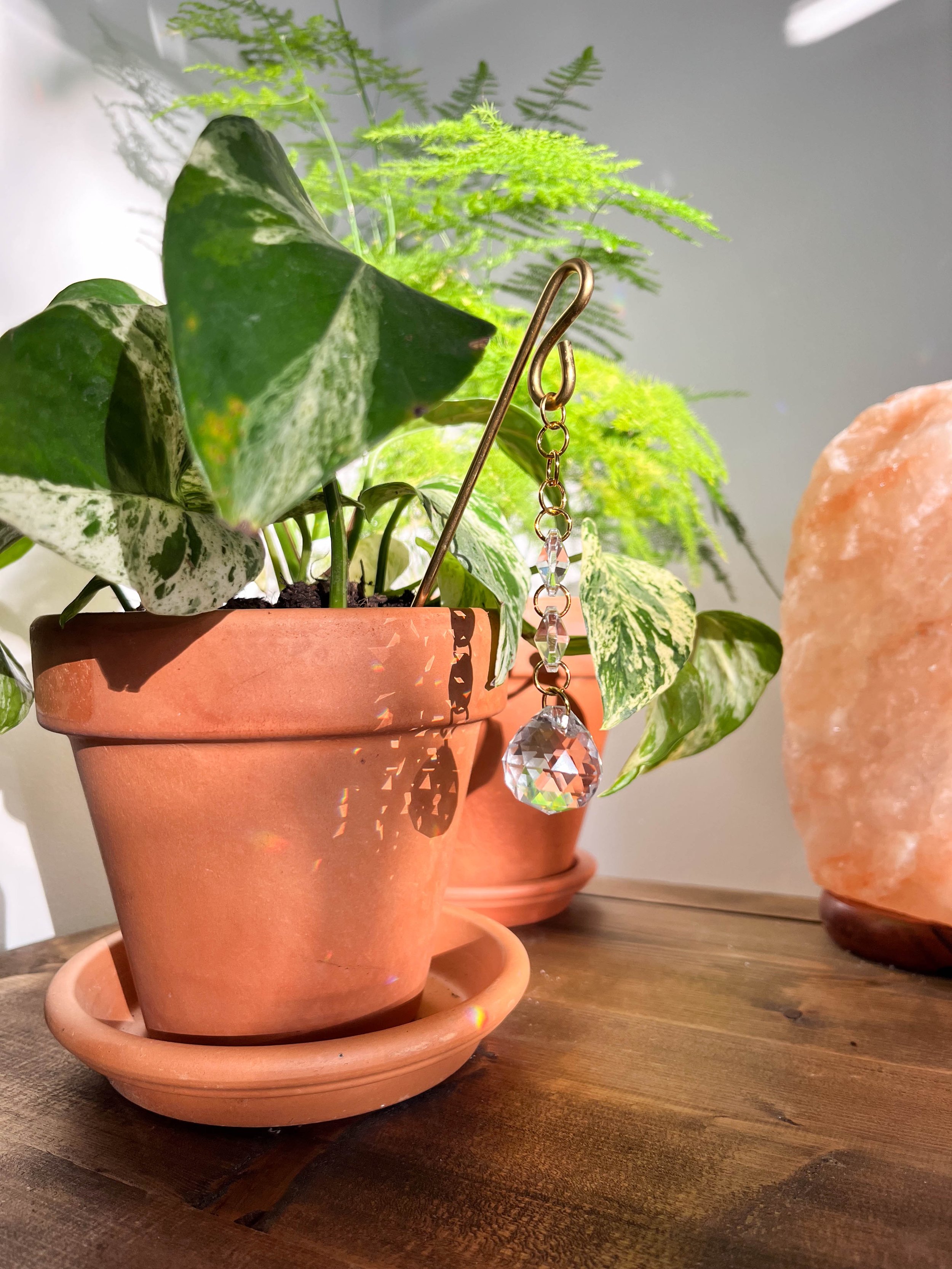 Elegant gold chain sun catcher with trio of crystal prisms suspended, ideal for indoor plant pots or sunny window displays.