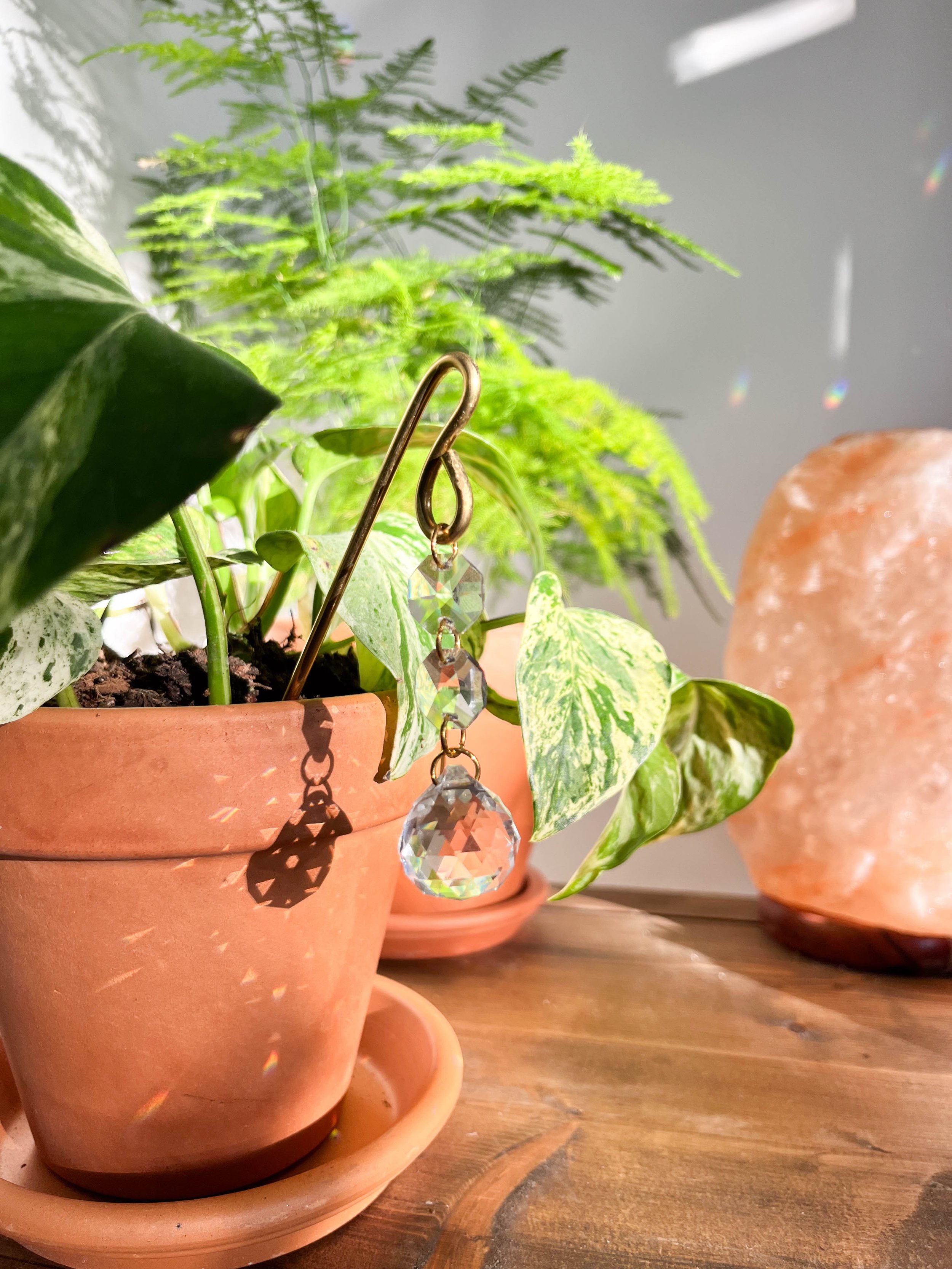 Brass and gold sun catcher with crystal prisms hanging from a terracotta pot planted with devil’s ivy. Handmade boho plant décor that casts rainbow light indoors.