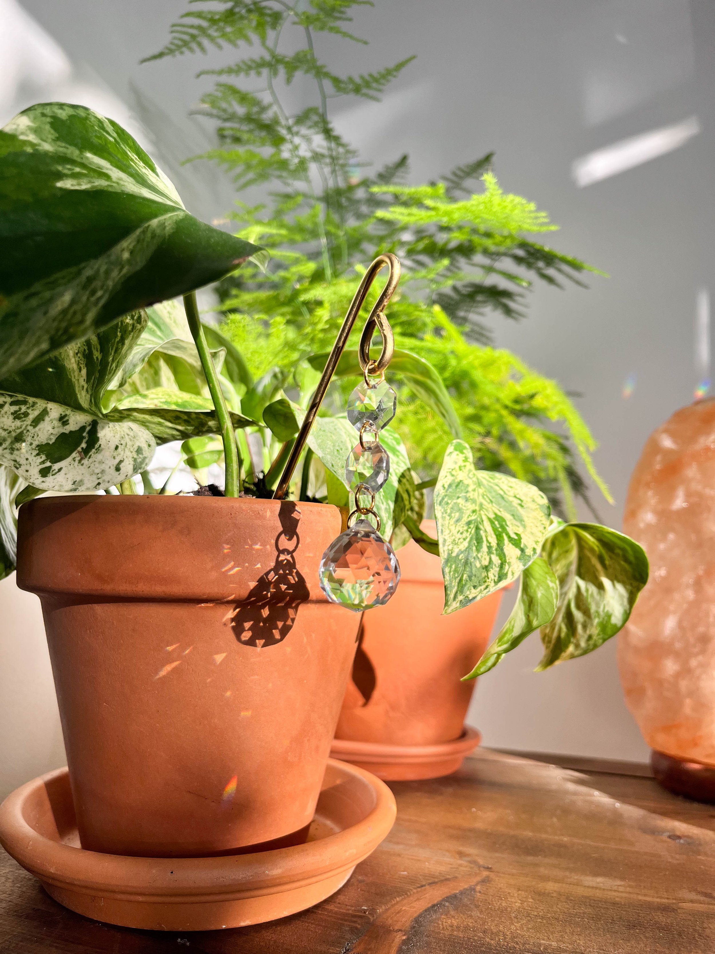 Close-up of gold chain and three crystal prisms—two small, one large—hanging from a brass rod in a plant pot with devil’s ivy. Indoor light-catching plant accessory.