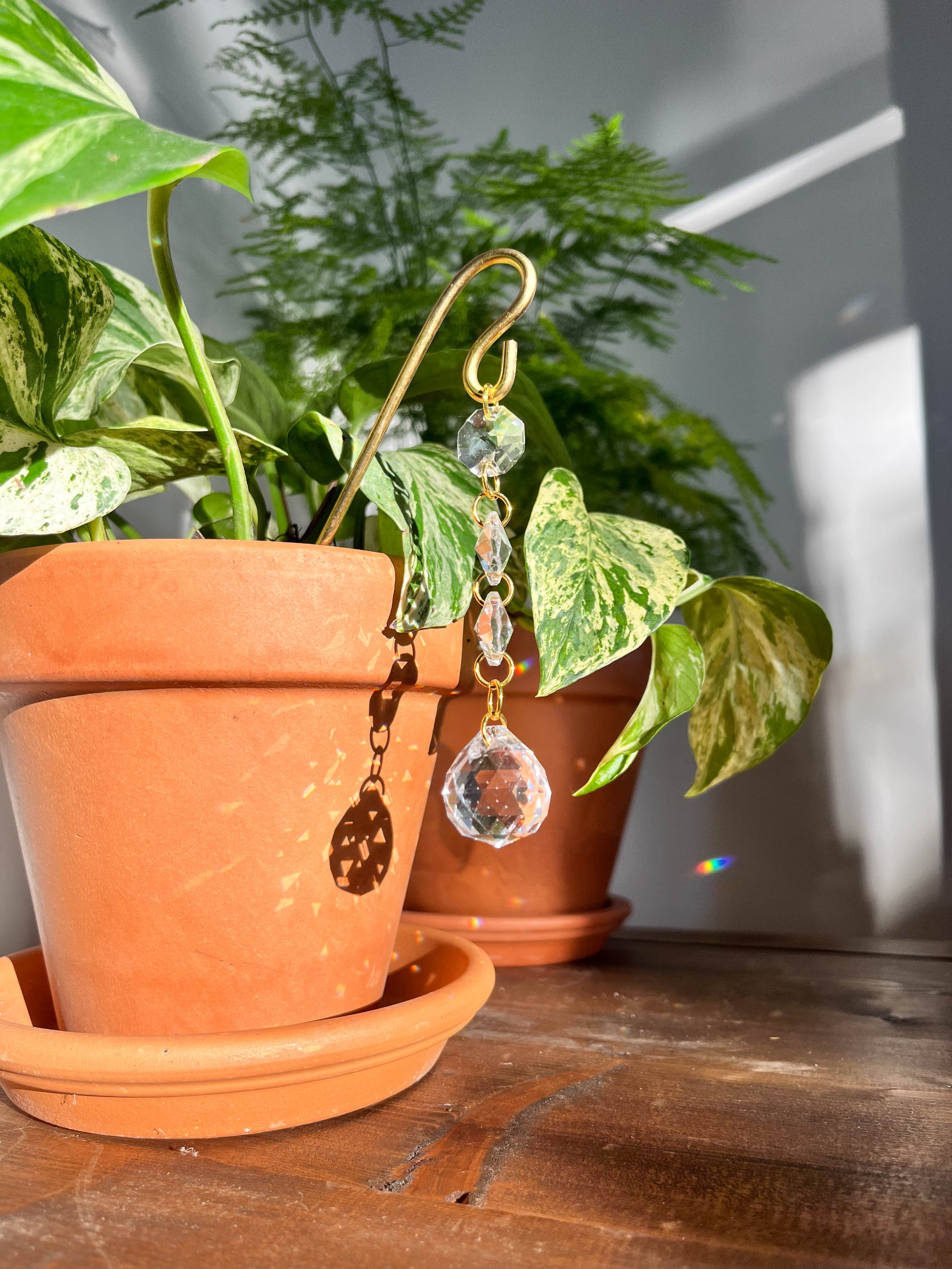 Lumira crystal plant charm with three small crystals and one large prism, hanging over a terracotta pot with devil’s ivy, designed to reflect sunlight and add sparkle to indoor spaces. Photo 2: