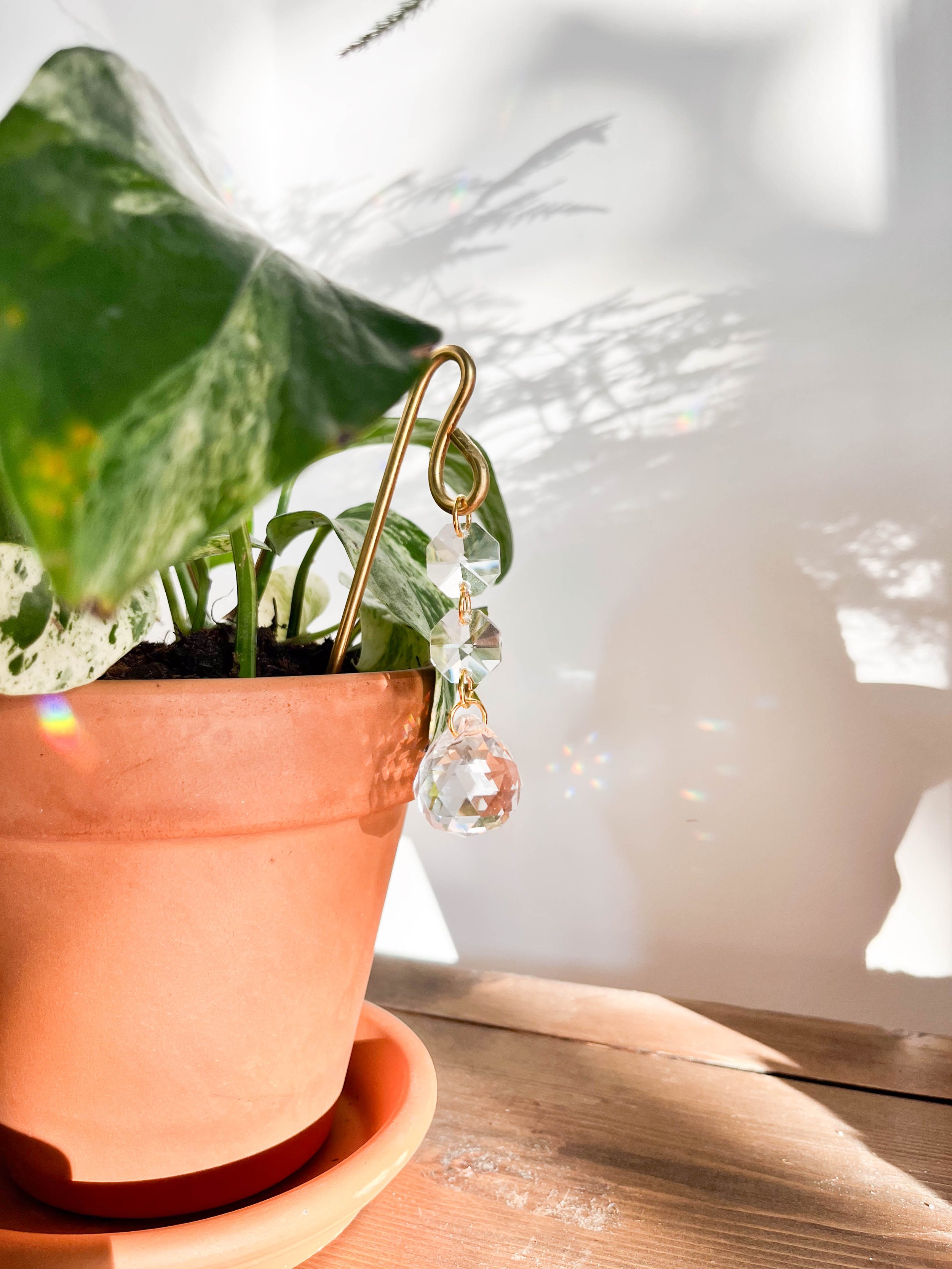 Angled view of crystal sun catcher hanging in a terracotta pot with trailing devil’s ivy. Brass and crystal décor for indoor plants and sunny windowsills.