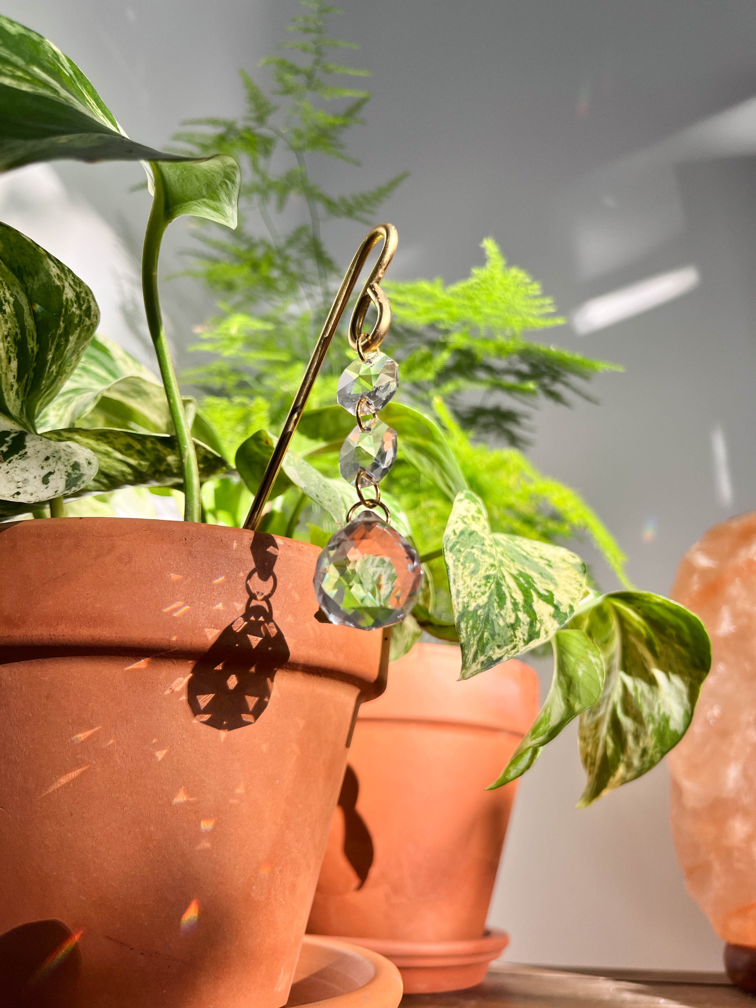 Golden brass rod with delicate crystal prisms hanging gracefully, catching sunlight near a terracotta pot filled with lush devil’s ivy. Elegant indoor plant decoration.