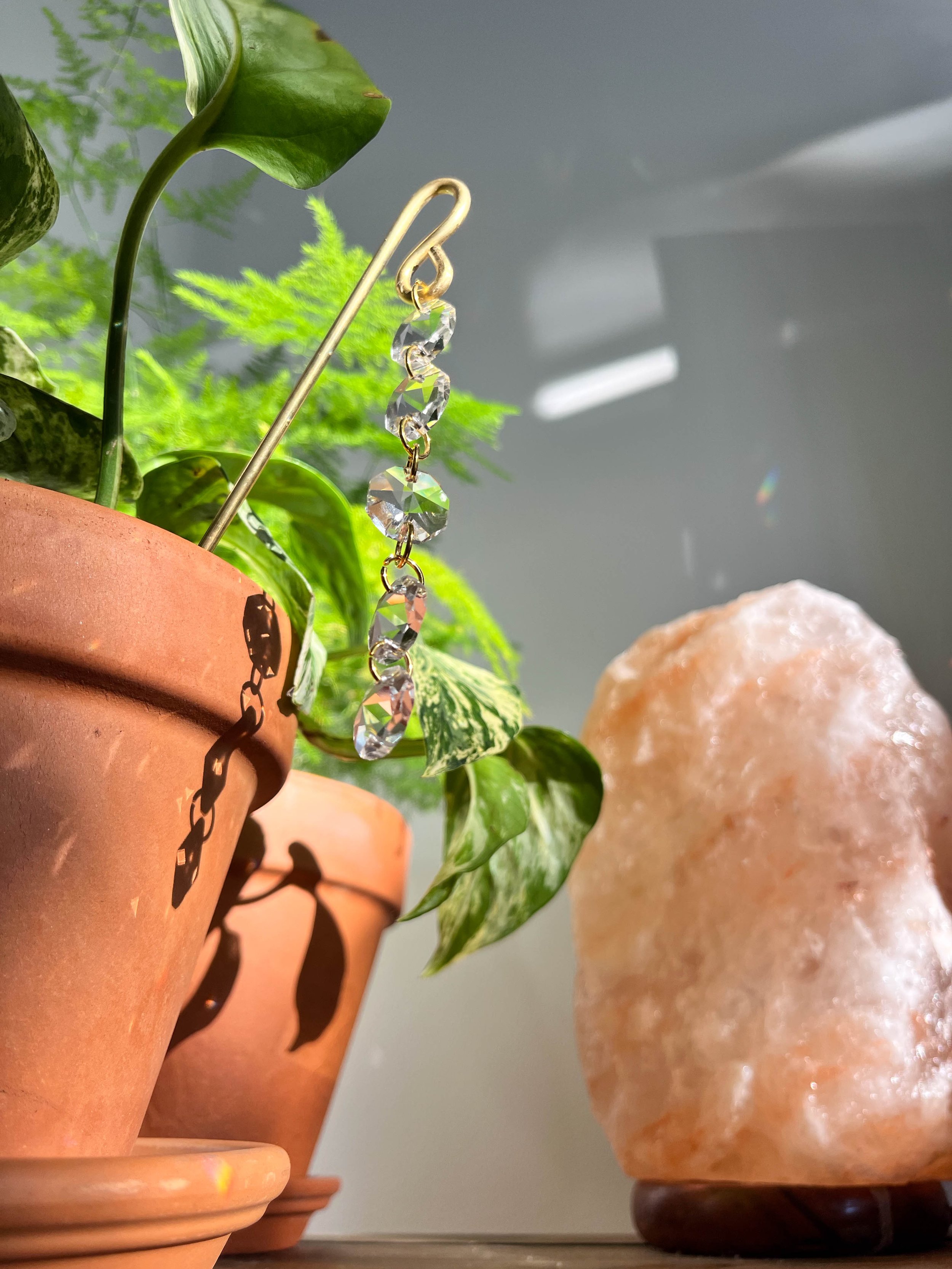 Close-up of Celeste’s brass and gold chain plant pot hanger with sparkling glass crystals, perfect for adding shimmering light to indoor gardens.
