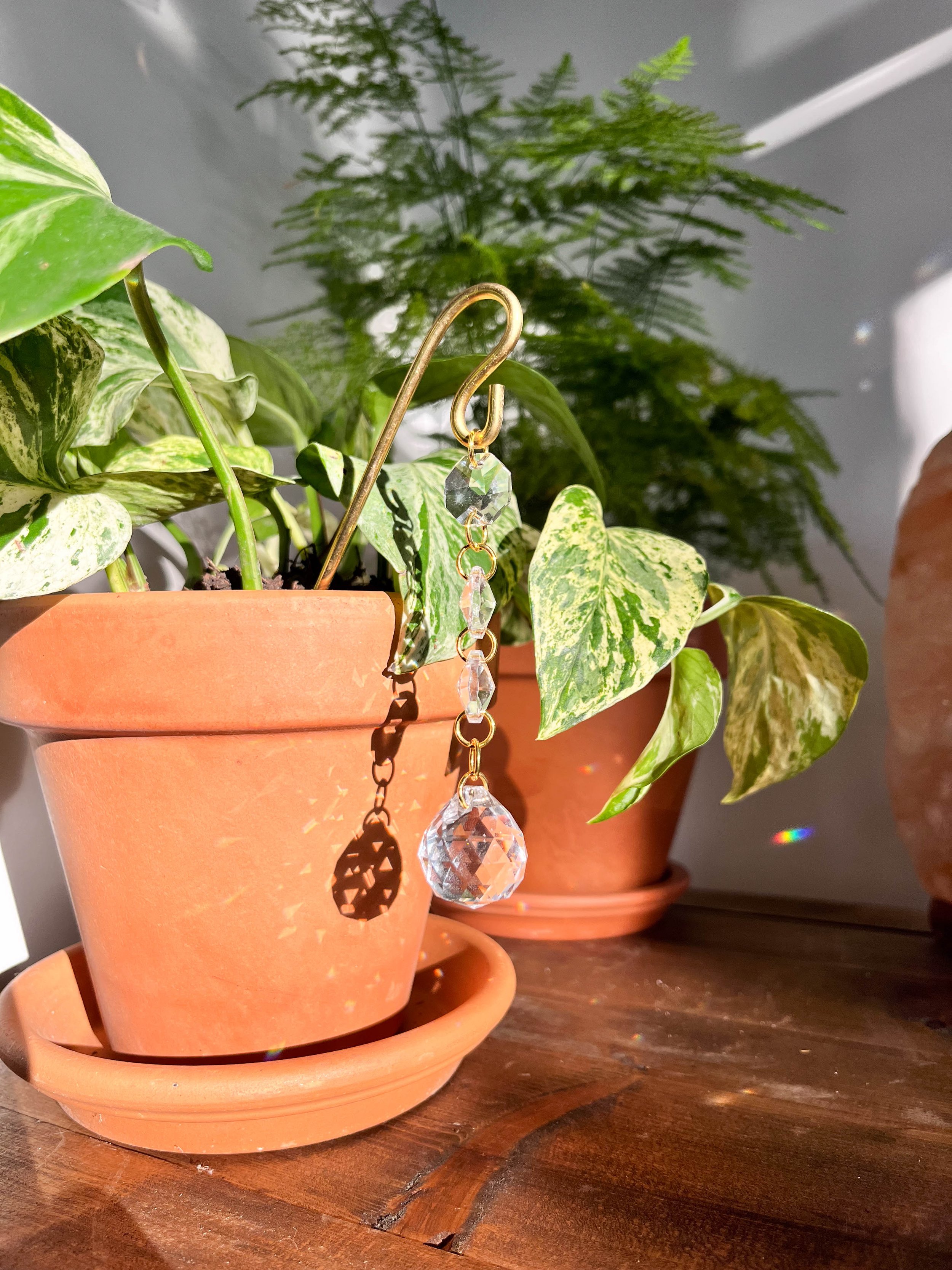 Close-up of Lumira plant jewellery draped on a terracotta pot, featuring a gold chain with shimmering glass crystals and a large prism.