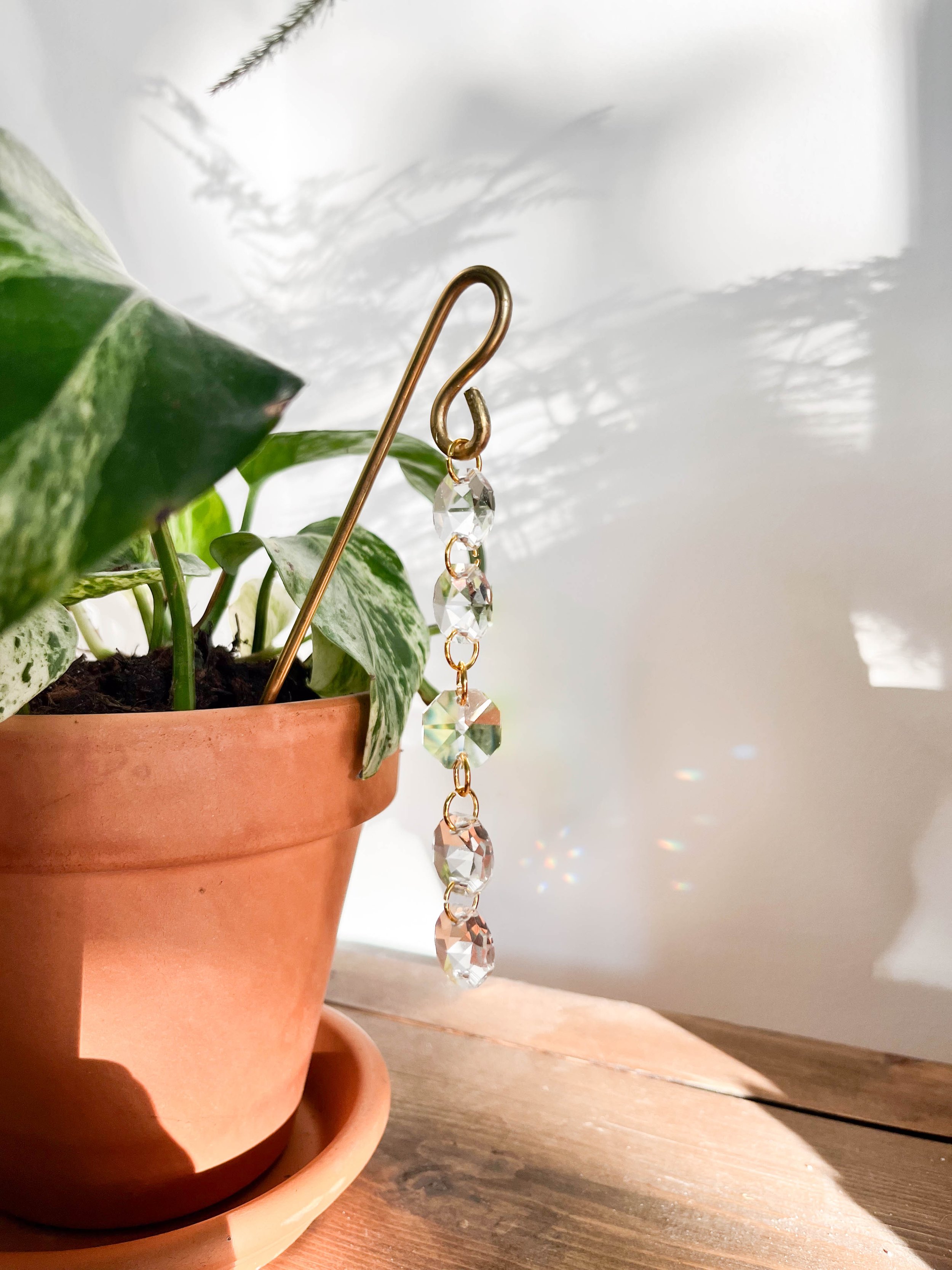 Handcrafted Celeste brass and crystal plant pot hanger with five linked glass prisms, creating vibrant rainbow reflections in any sunny space.