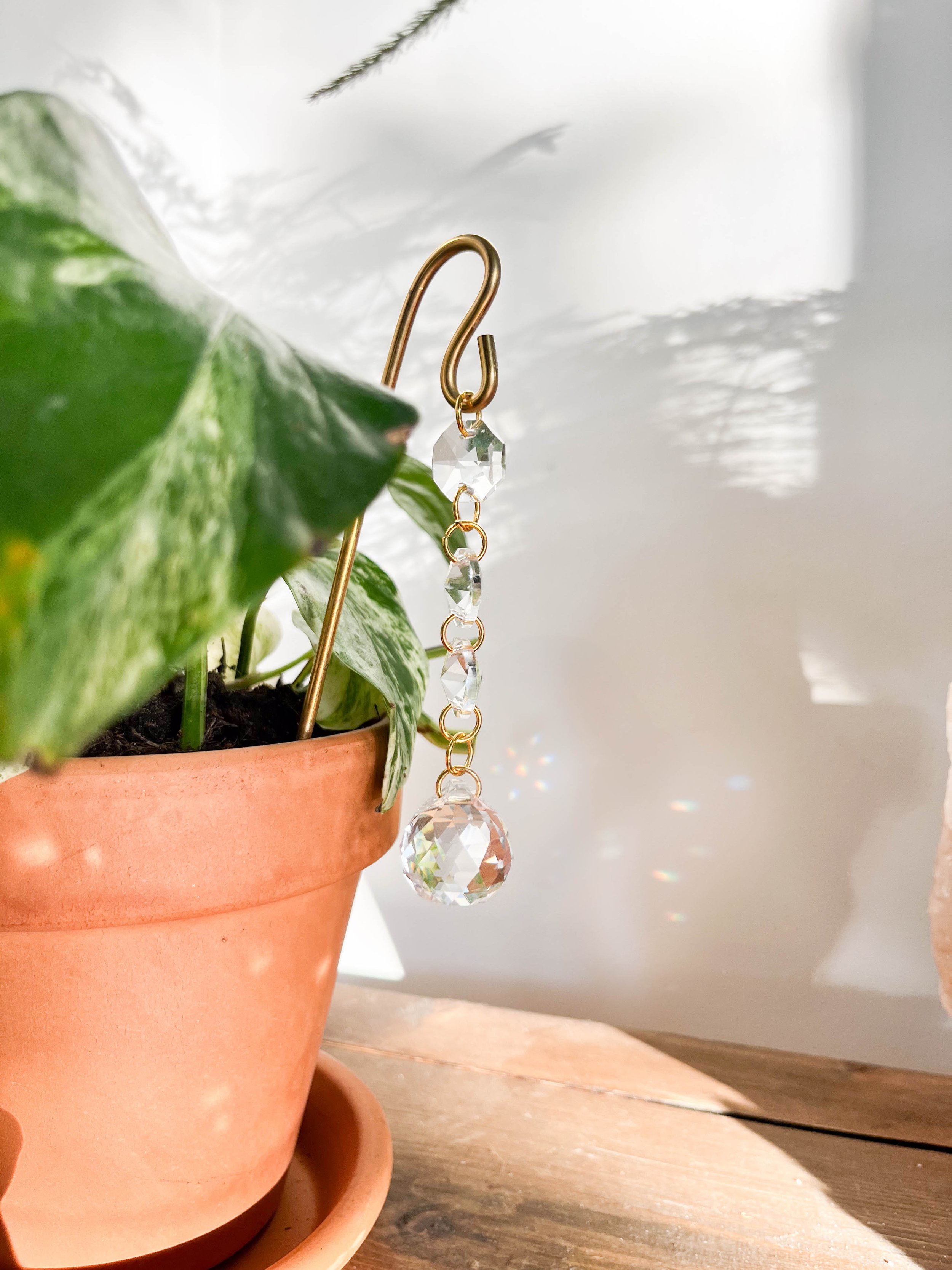 Handmade Lumira plant pot hanger with delicate gold chain and faceted crystals, displayed on a potted devil’s ivy to catch natural light.