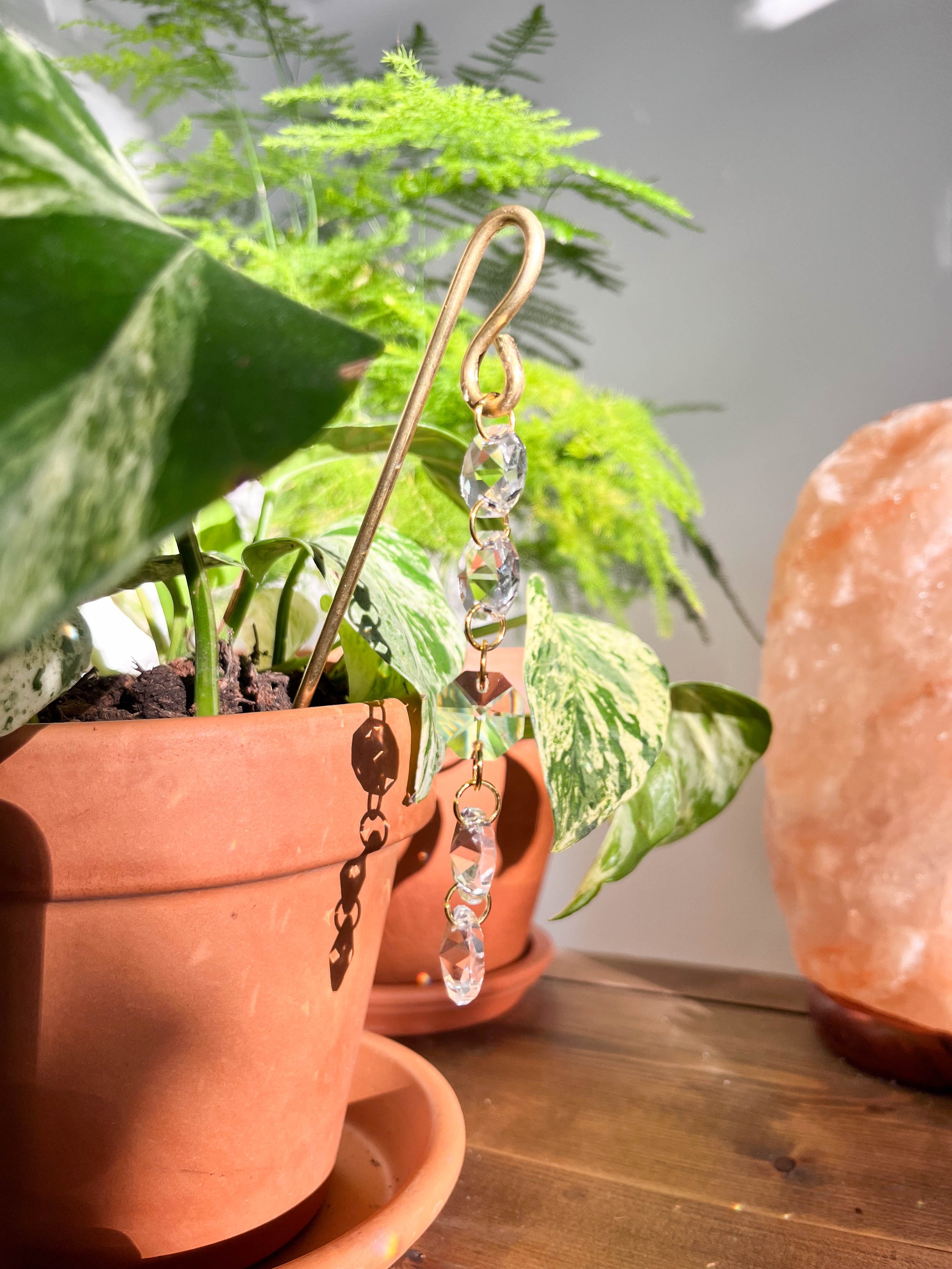 Celeste plant jewellery draped over a terracotta pot, showcasing its five radiant glass crystals that catch and scatter natural light beautifully.