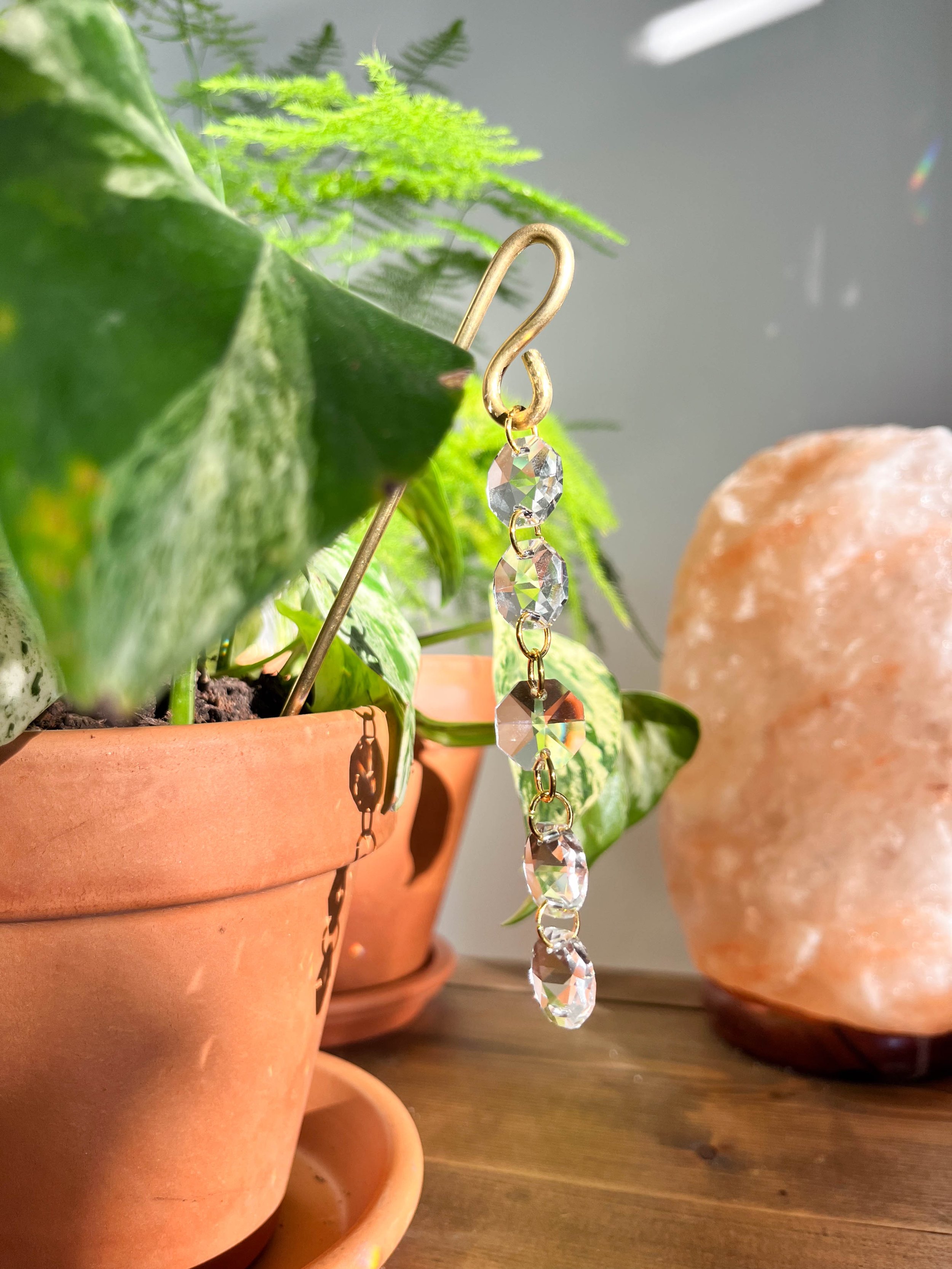 Celeste crystal plant jewellery featuring five small glass crystals linked by delicate gold chains, designed to hang elegantly on plant pots and refract sunlight.