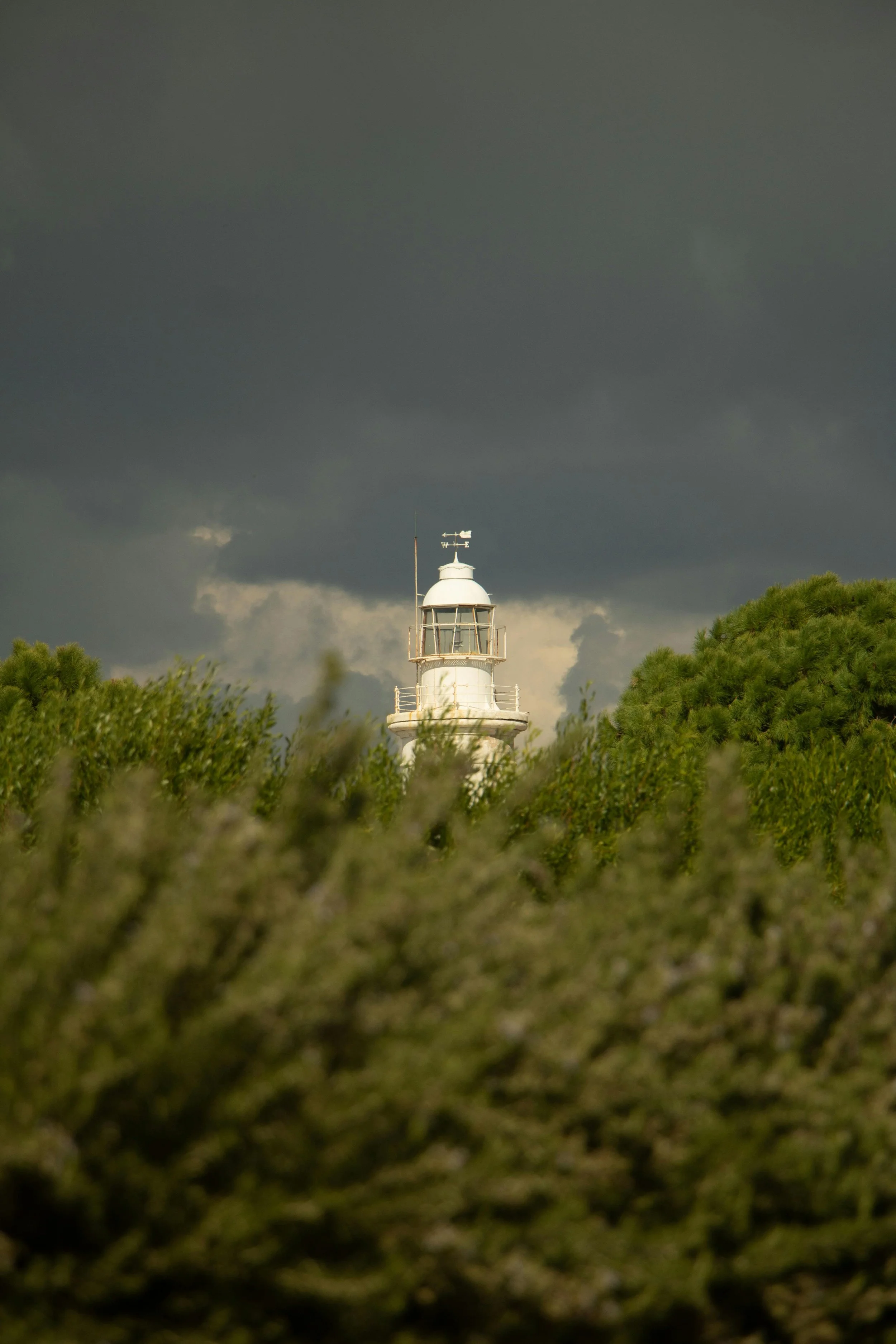 A white lighthouse with a weather vane on top, partially obscured by green foliage, under dark storm clouds.