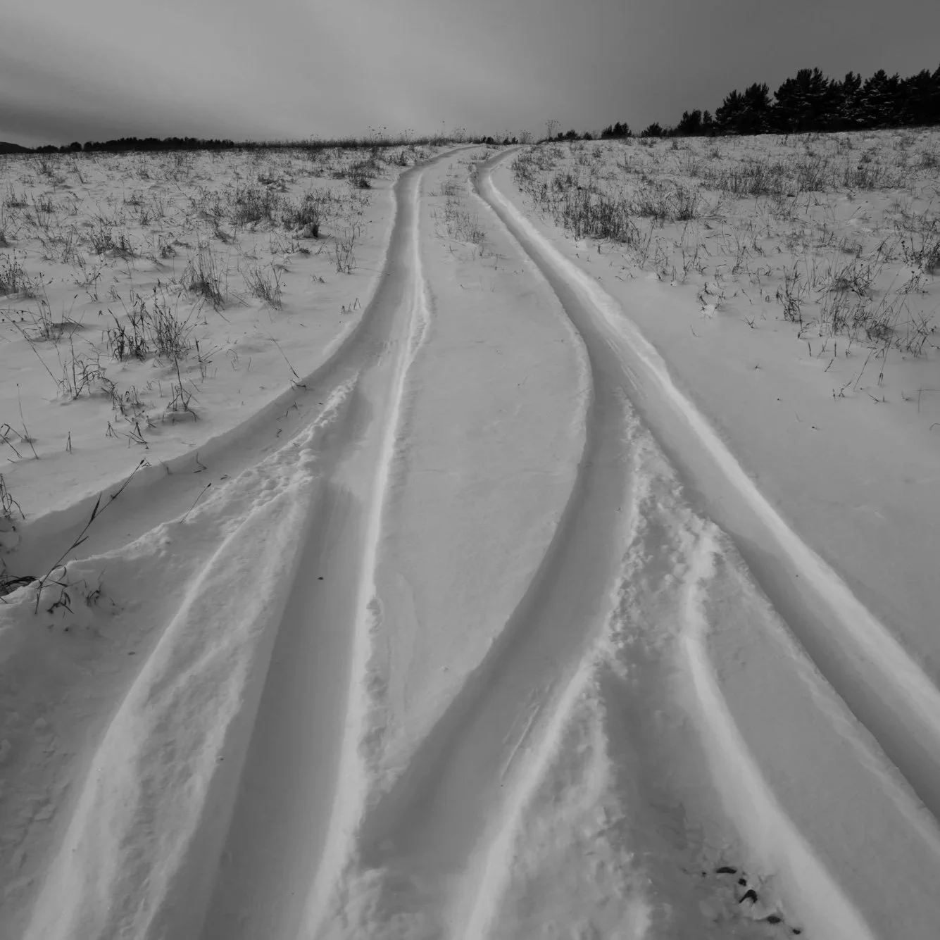 L1022110_LTobin.jpg