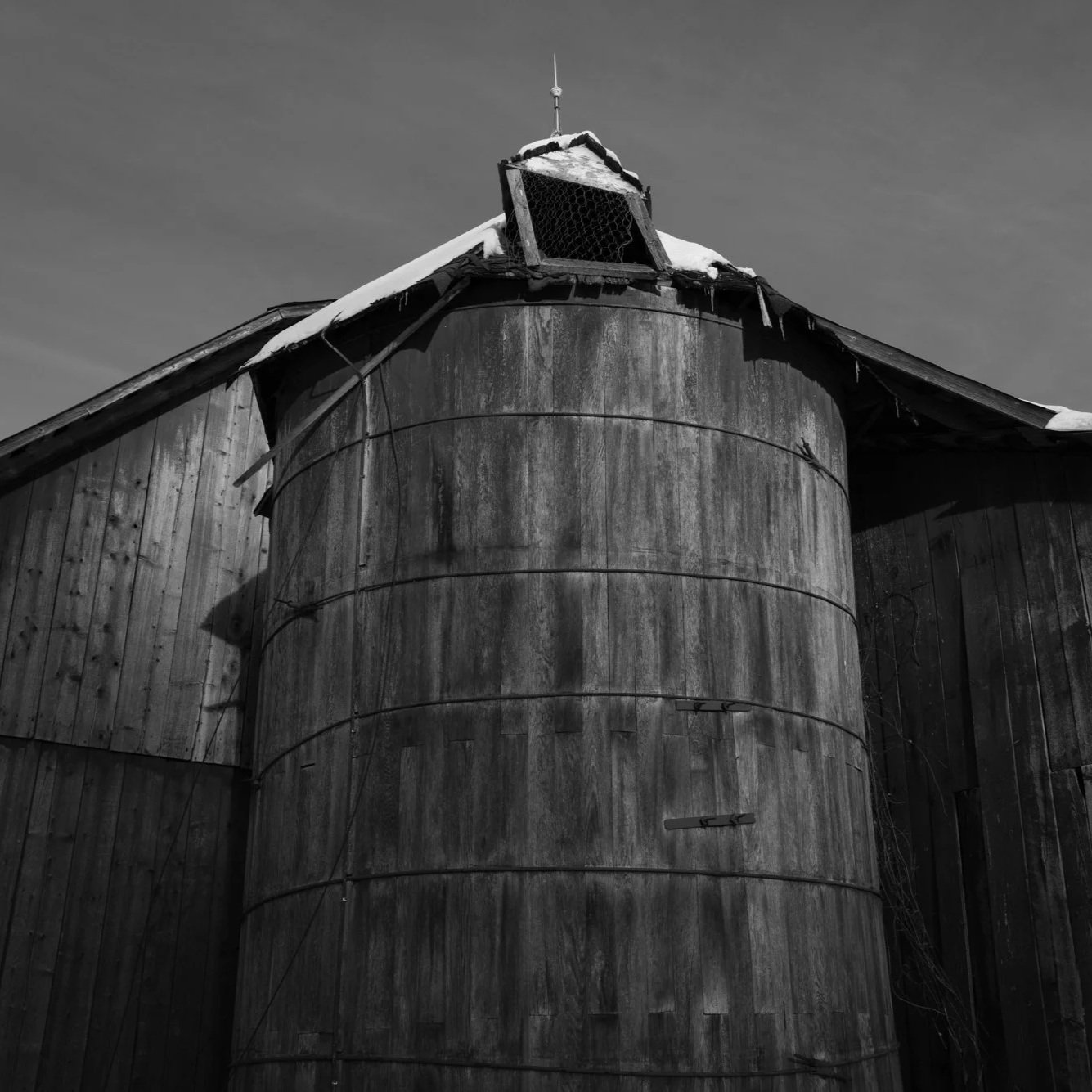 L1022190_LTobin.jpg