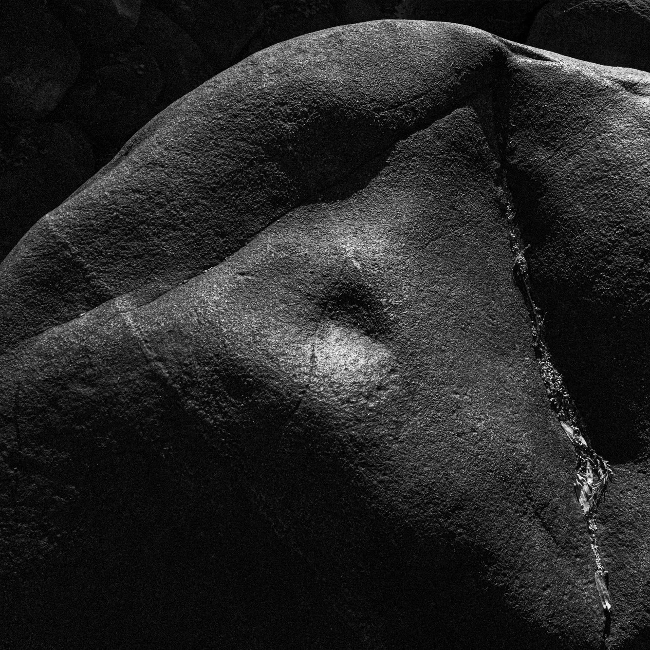 L1021712.jpg