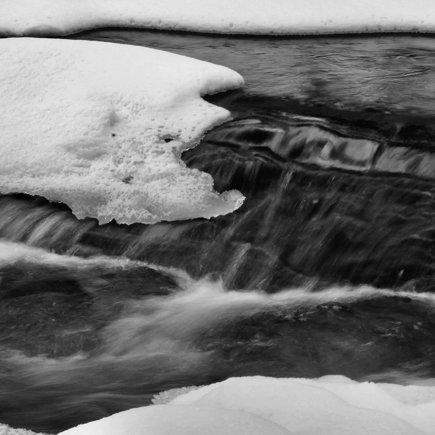 _MG_3574.jpg