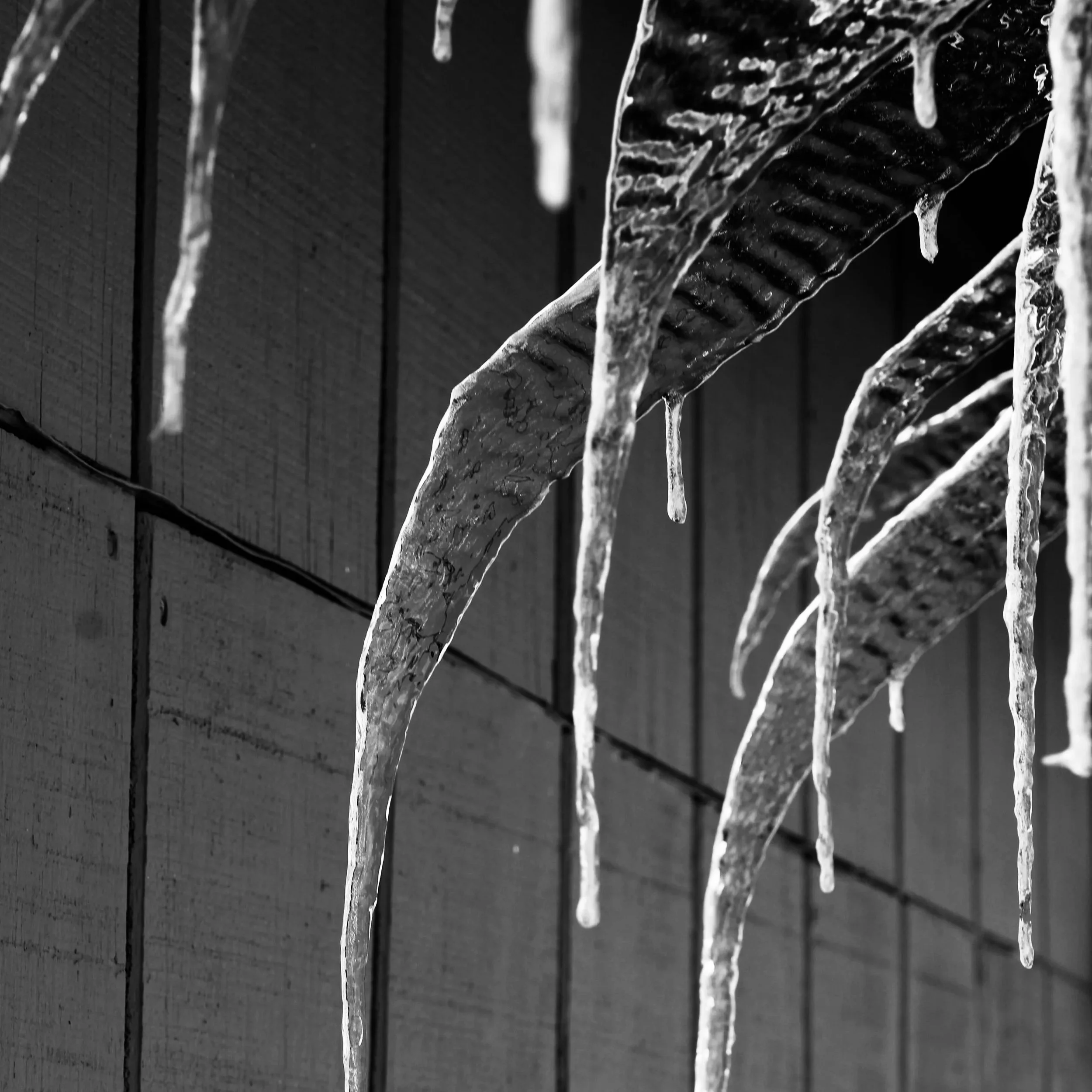 _MG_3466.jpg