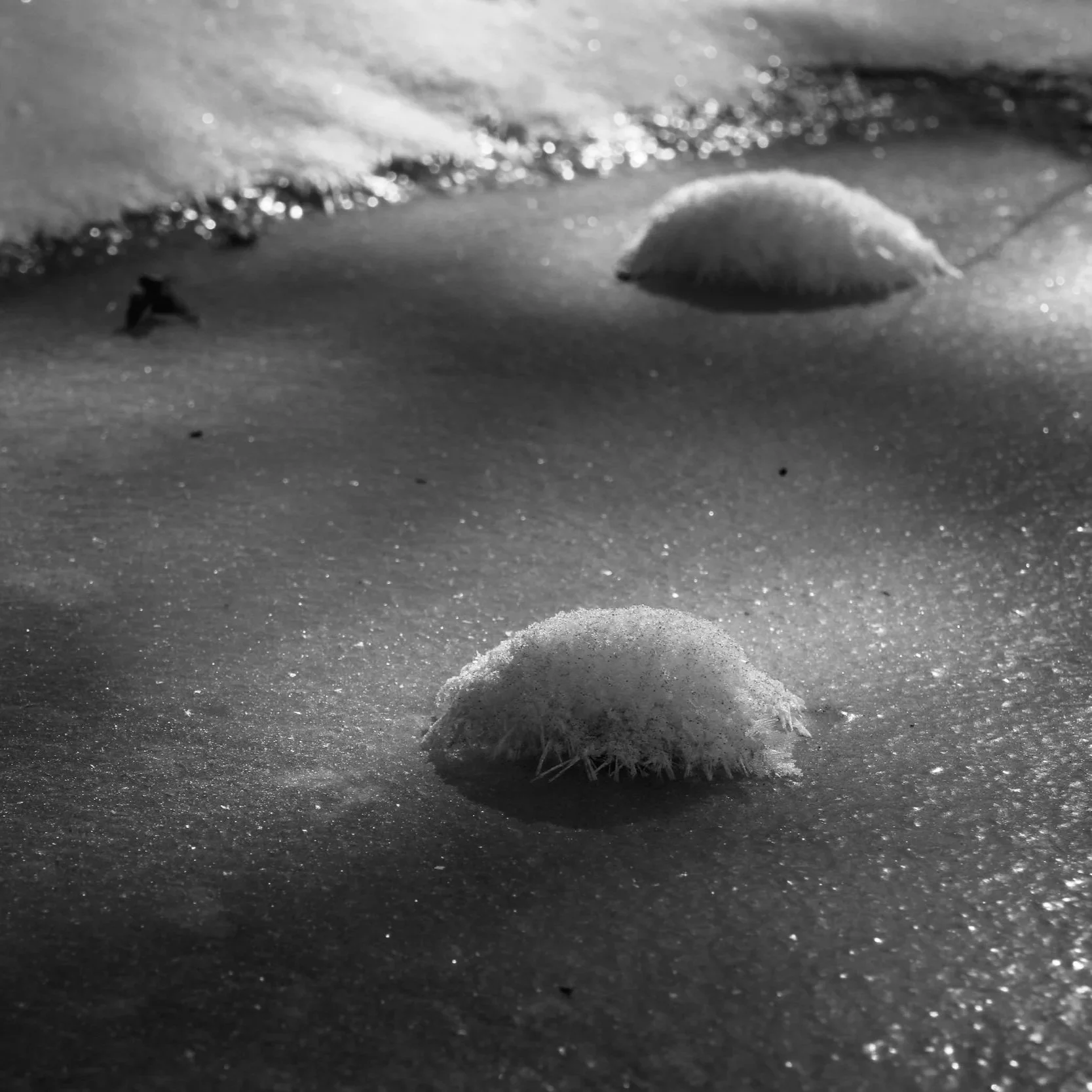 _MG_3475.jpg