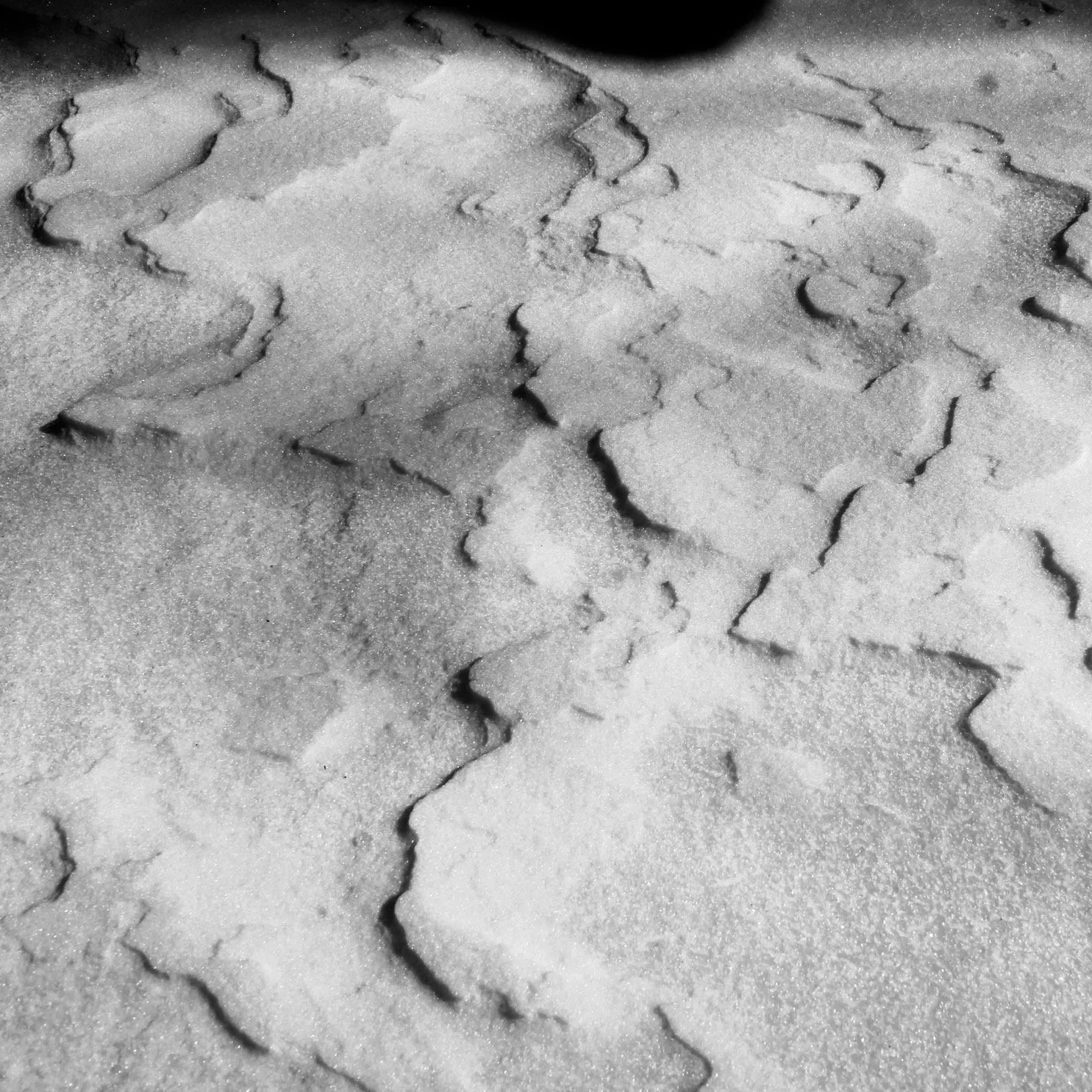 _MG_3363.jpg