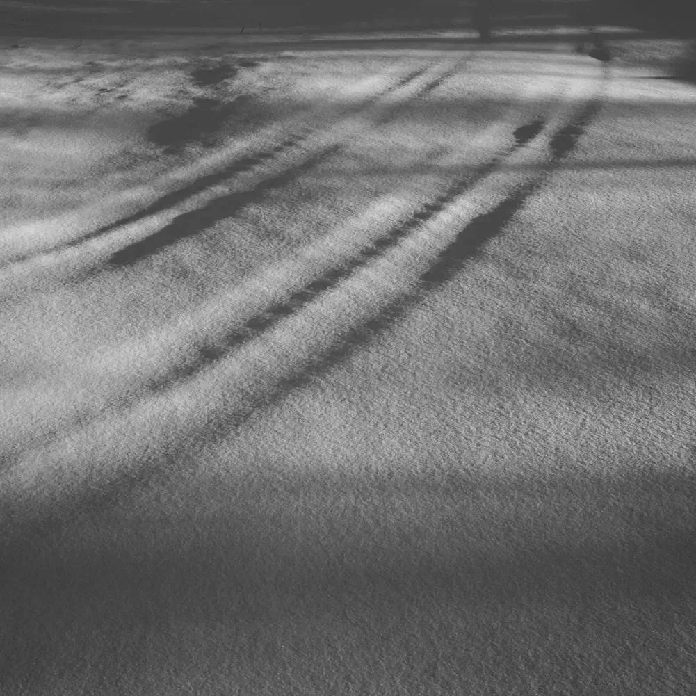 L1022211.jpg