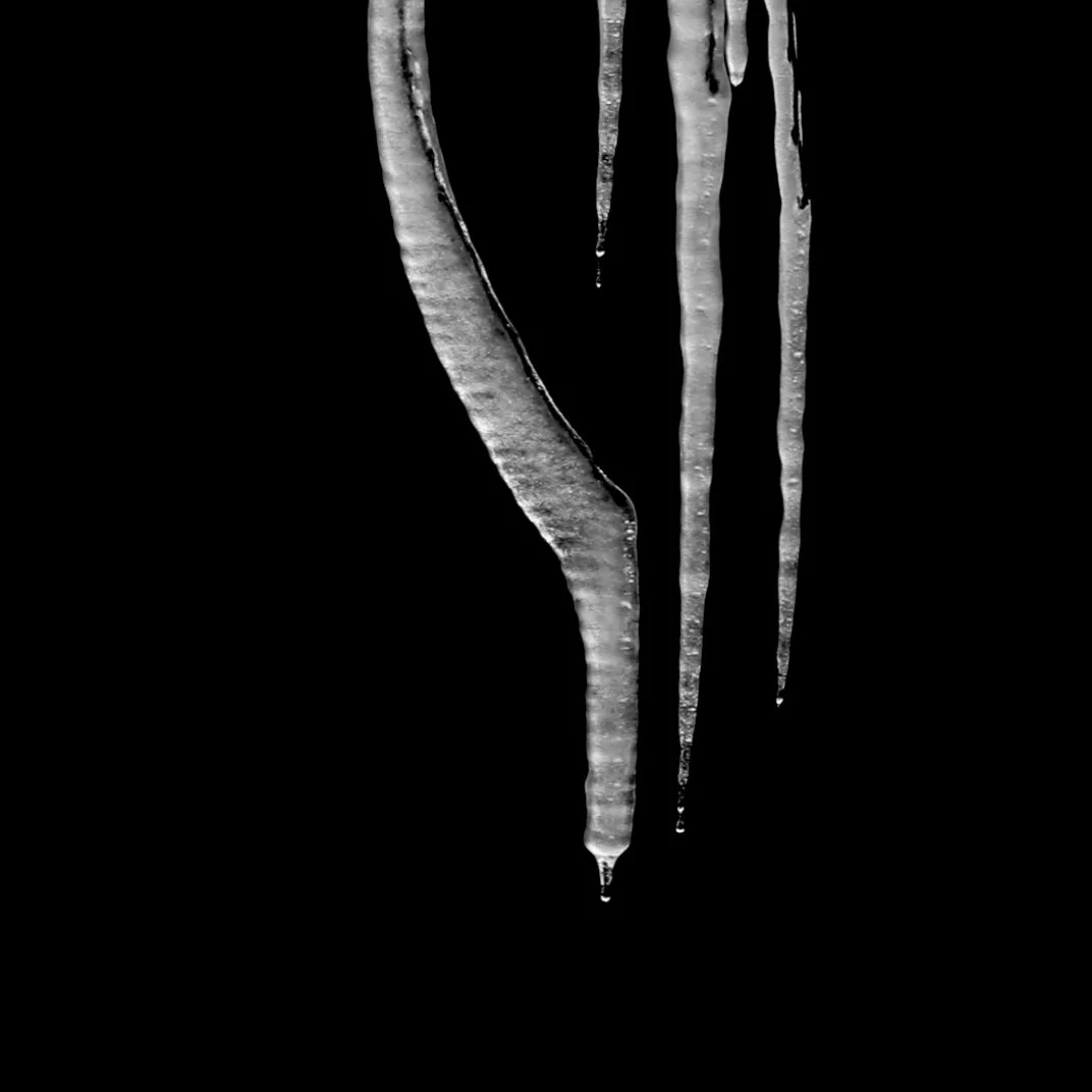 MVI_7956-1.jpg