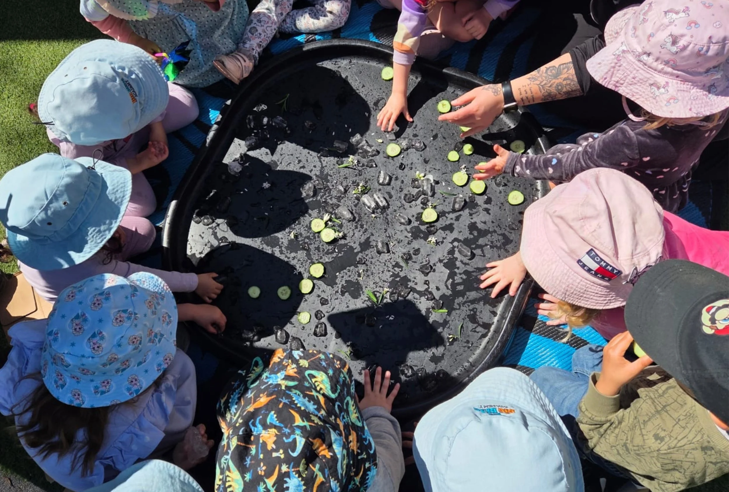 Website Graphics.jpg