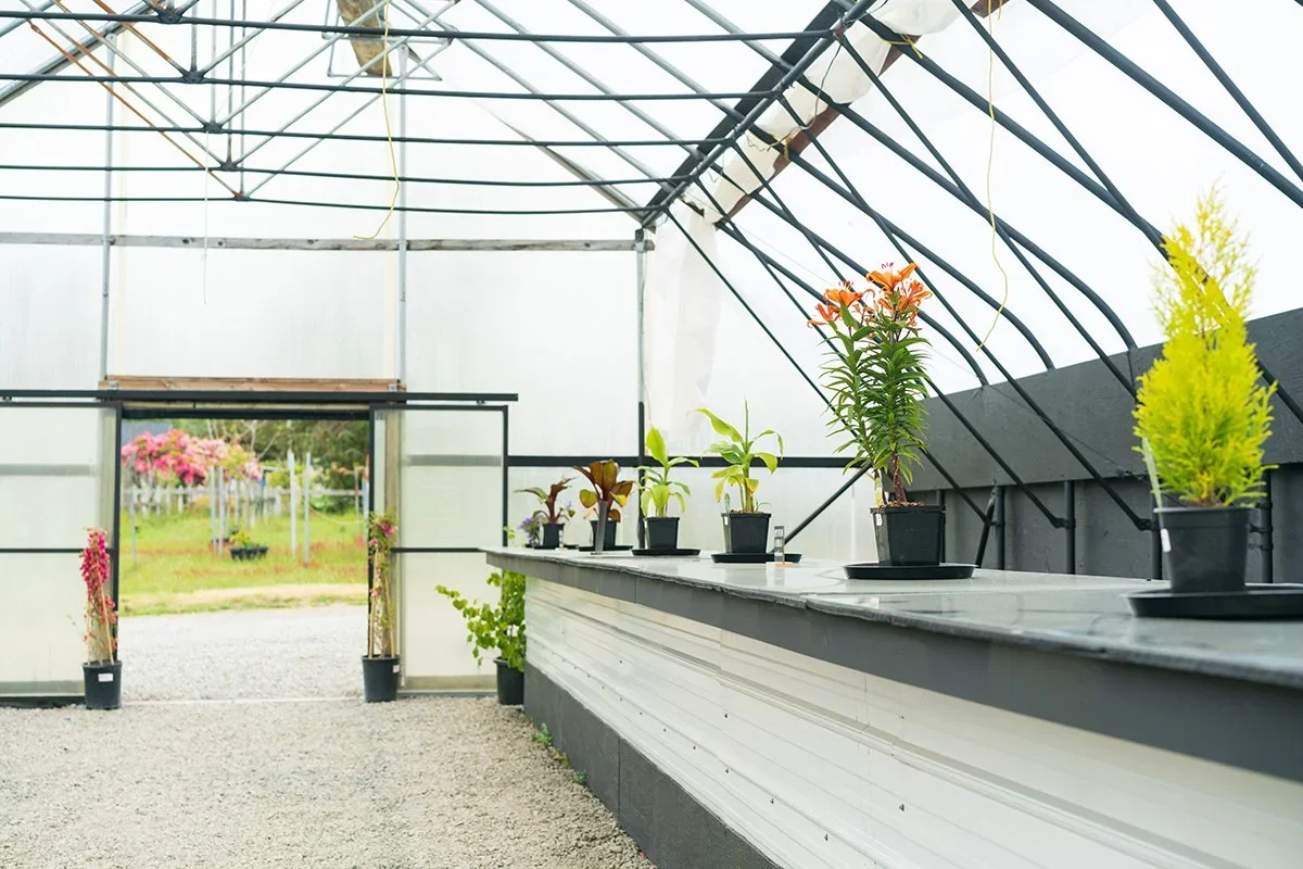 greenhouse_inside.webp