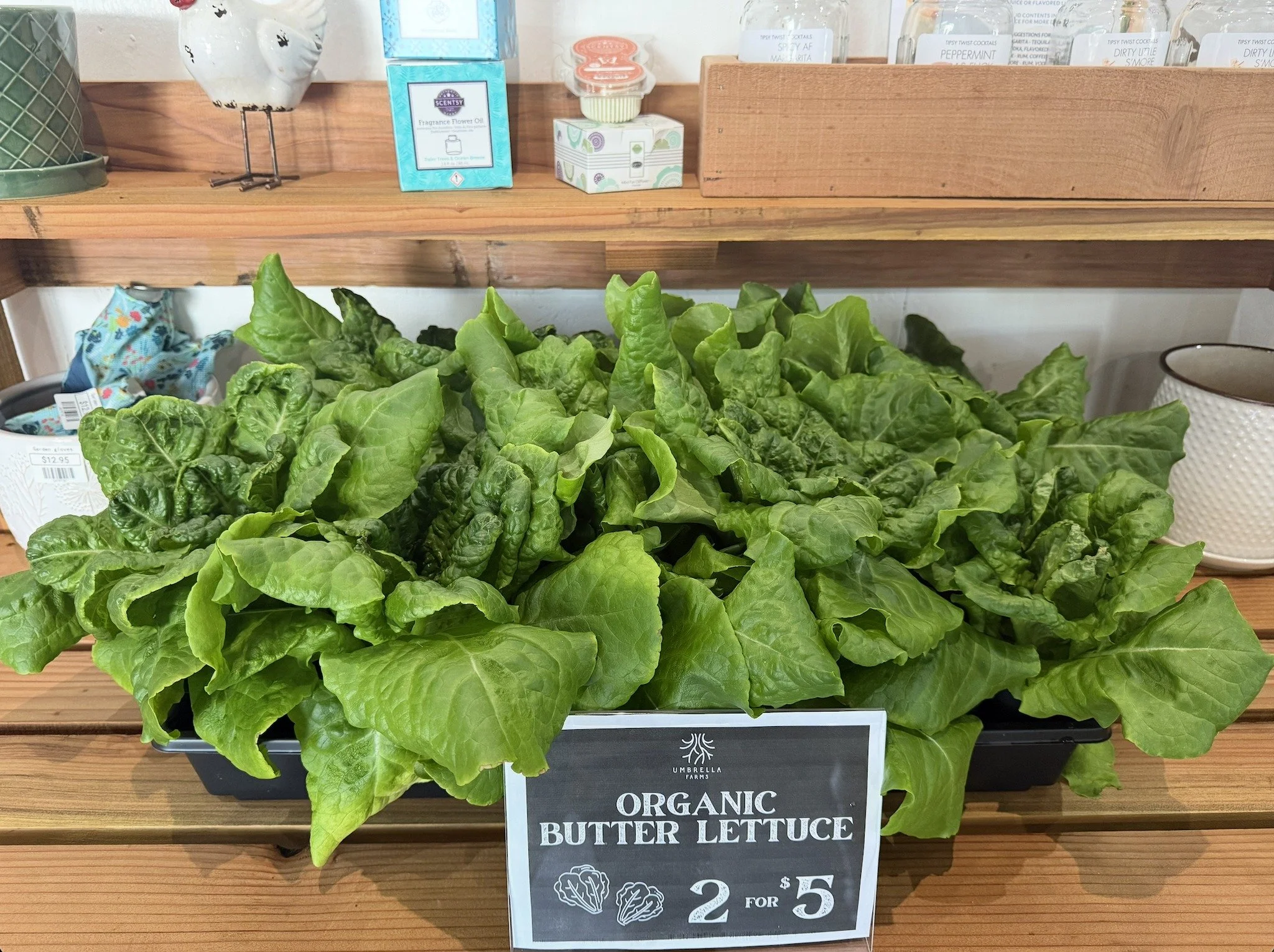 selling_lettuce.jpg