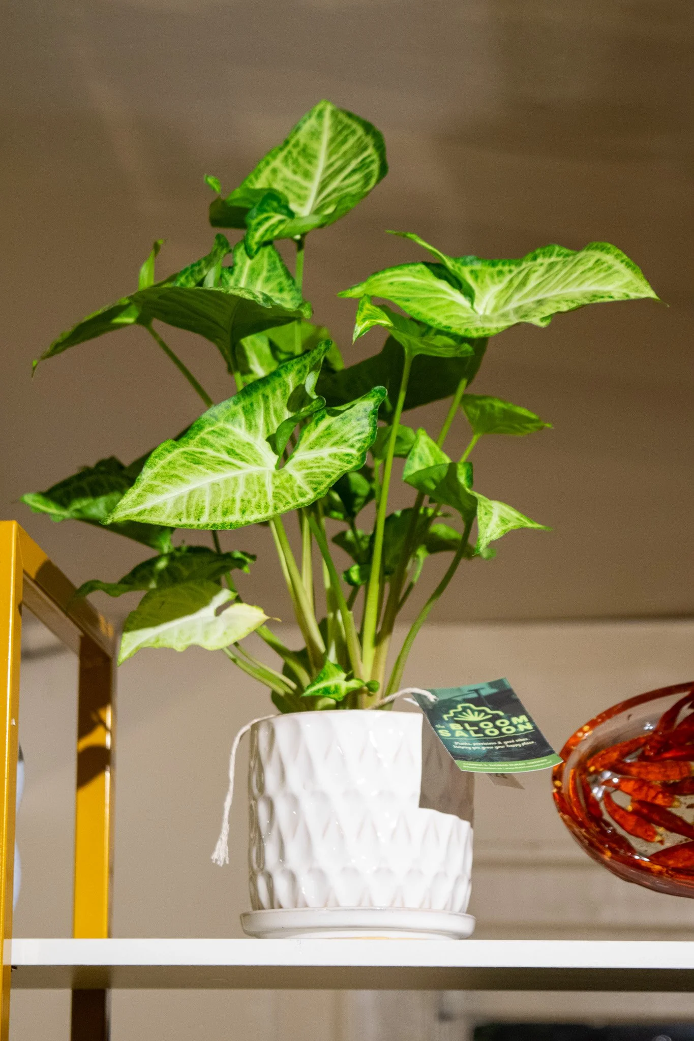 Ceramic Teardrop Plant pot