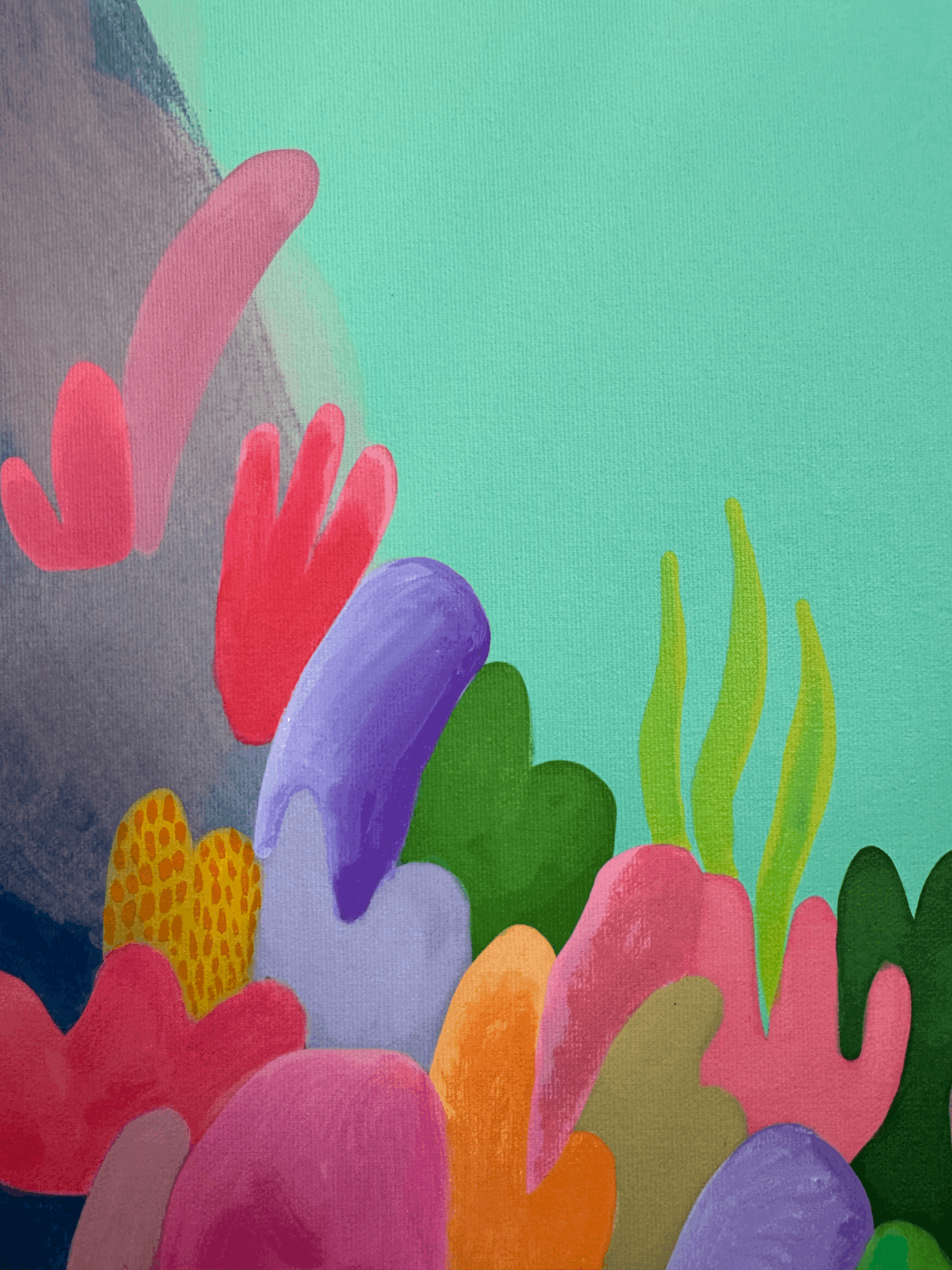 BETWEENSETS_Coral2fejcB.gif