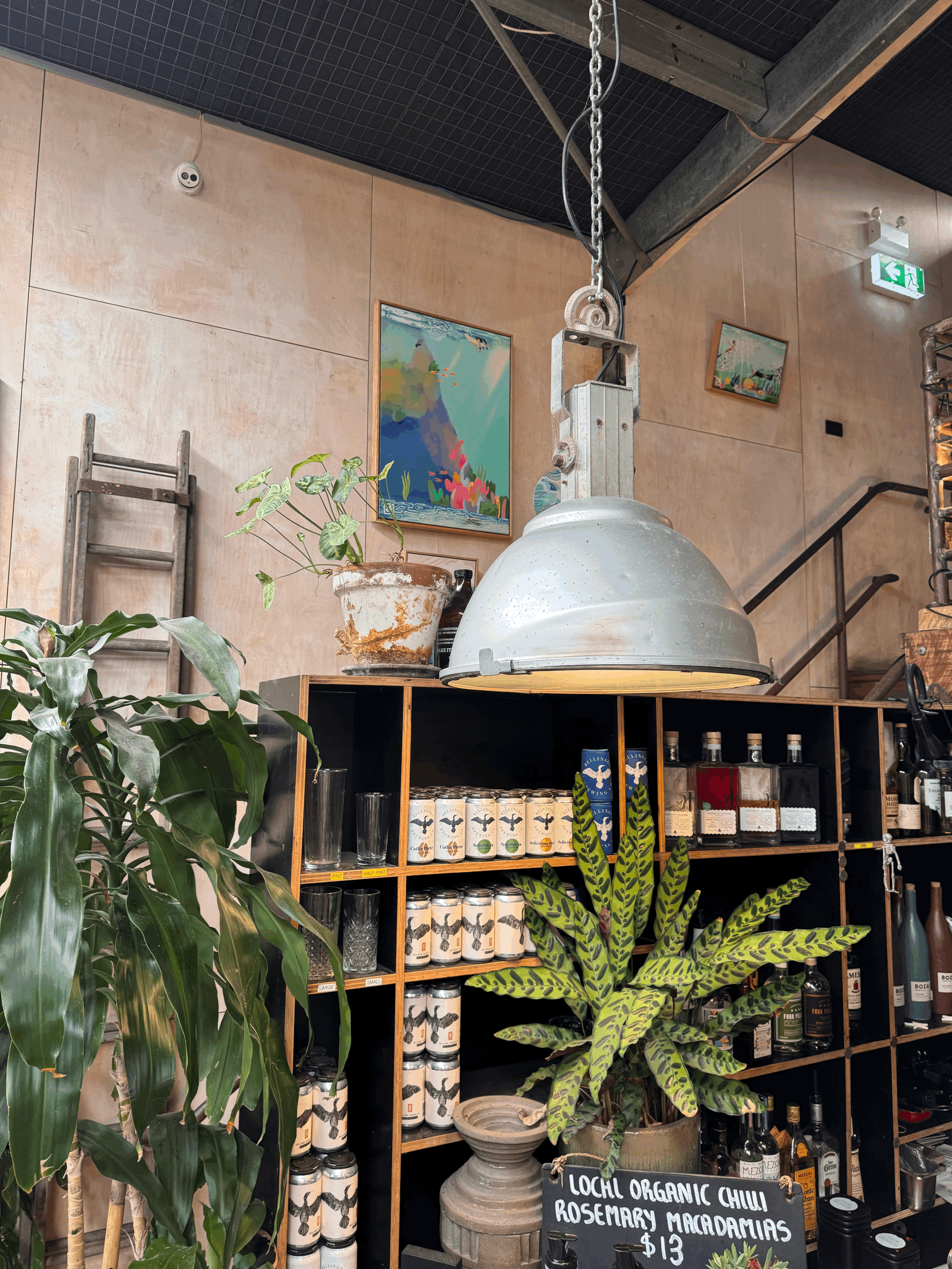 BetweenSets_BrewerypIJN6y.gif