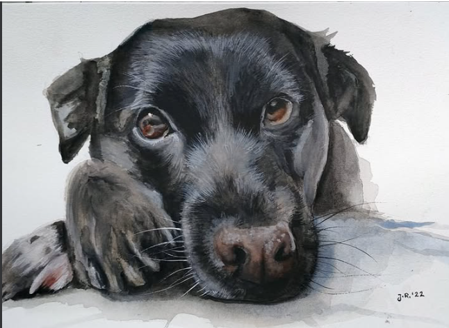 When Your Dog Isn’t Reactive — They’re Responsible