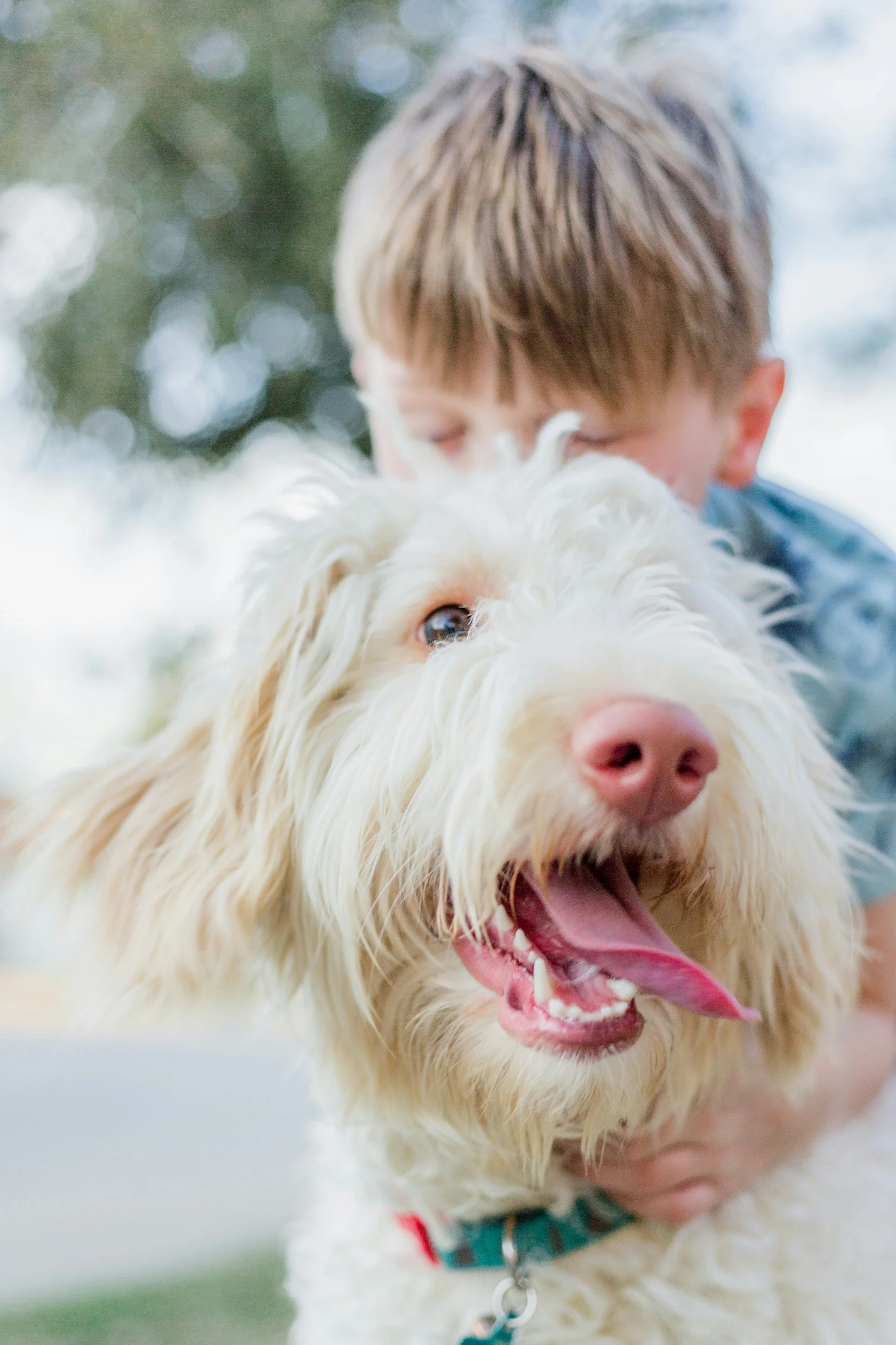A young boy hugging a happy, fluffy, white dog outdoors.