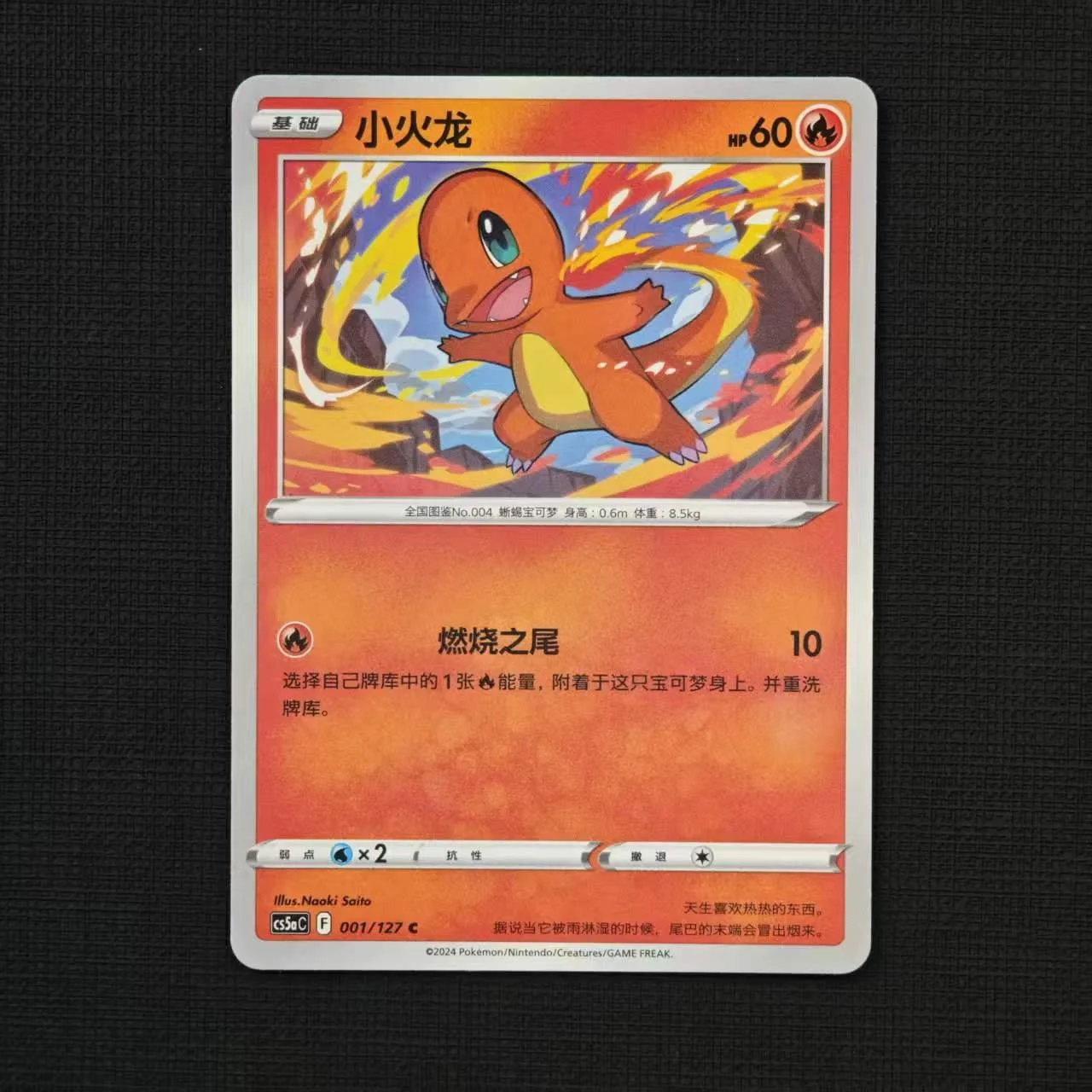 charmander-cs5ac-001-127-c.jpg