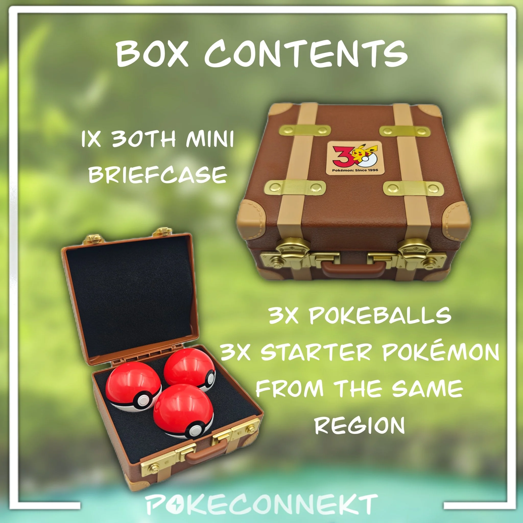 30th-anniversary-started-pokemon-mini-briefcase-contents-funism-simplified-chinese-pokemon.jpg
