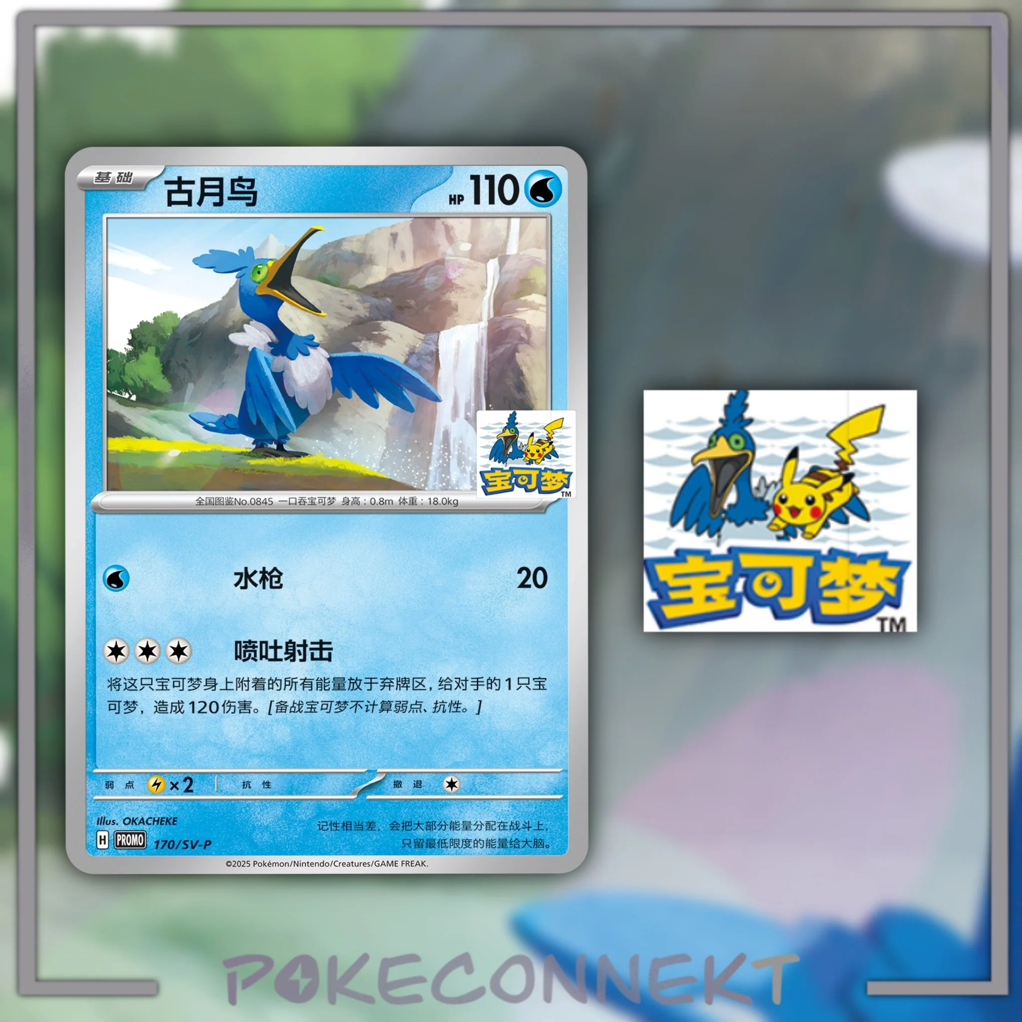 shanghai-cramorant-pikachu-stamped-gym-promo-170-sv-p.jpg