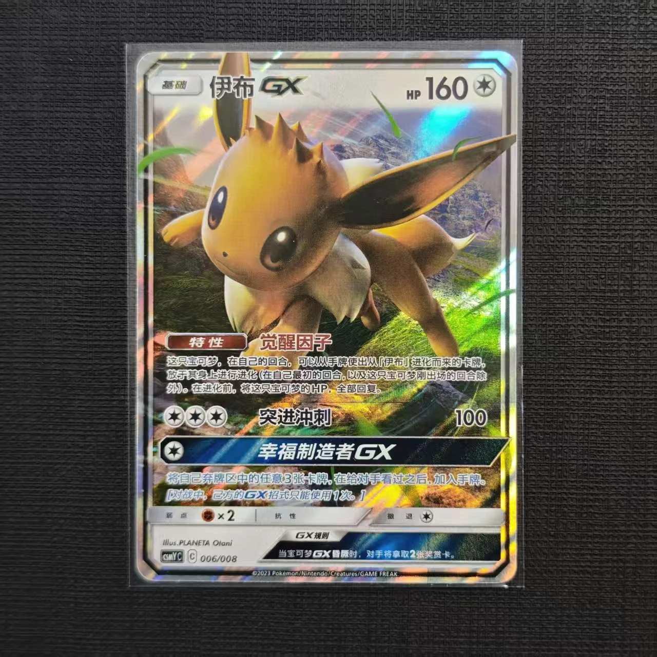EEVEE-CSMYC-006-008.jpg