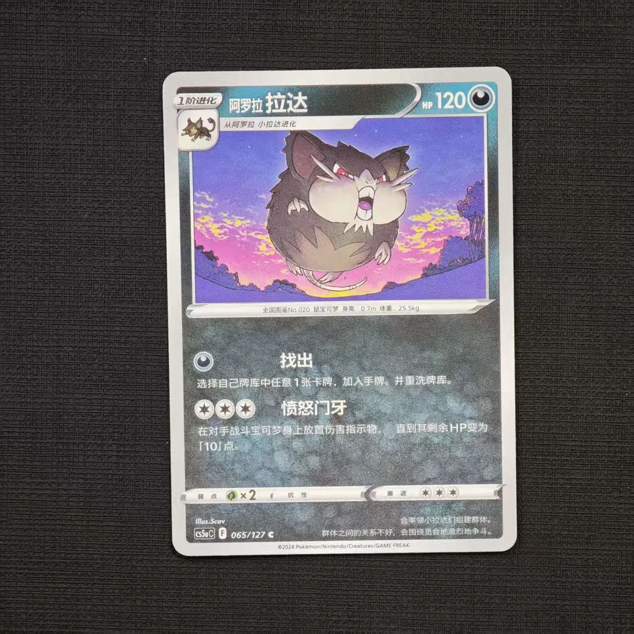 alolan-ratacate-cs5ac-065-127-c.jpg