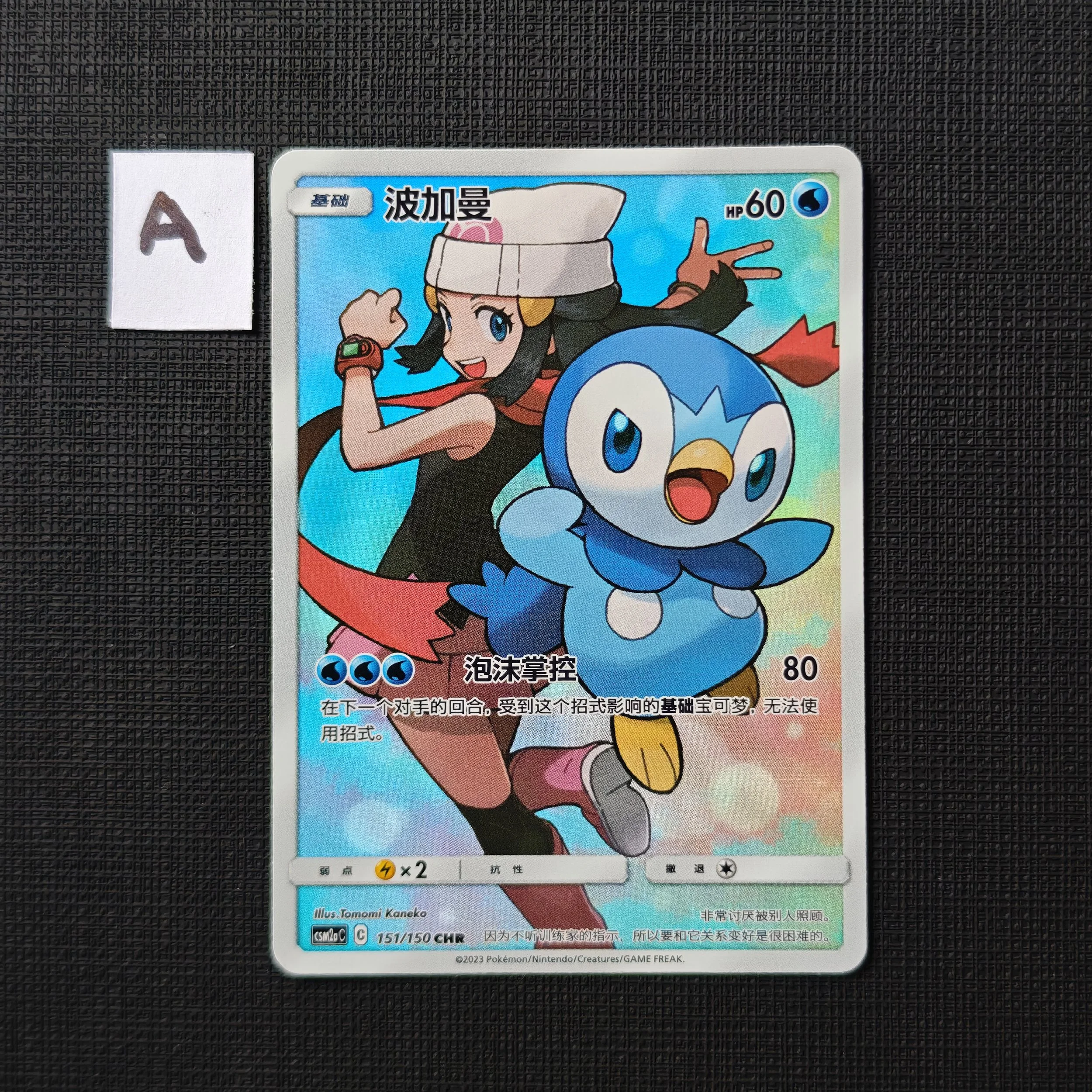 piplup-csm2ac-151-150-chr-a.jpg