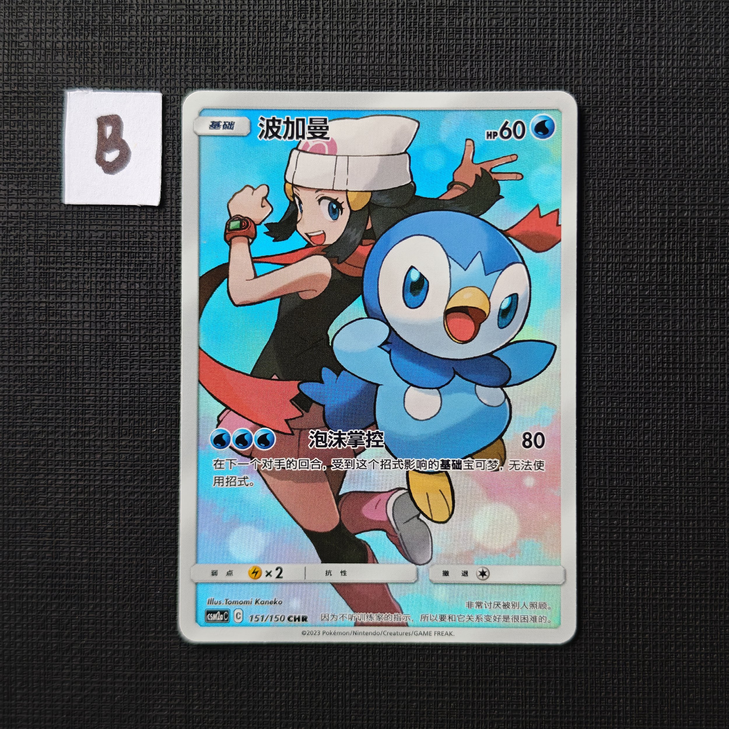 piplup-csm2ac-151-150-chr-b.jpg