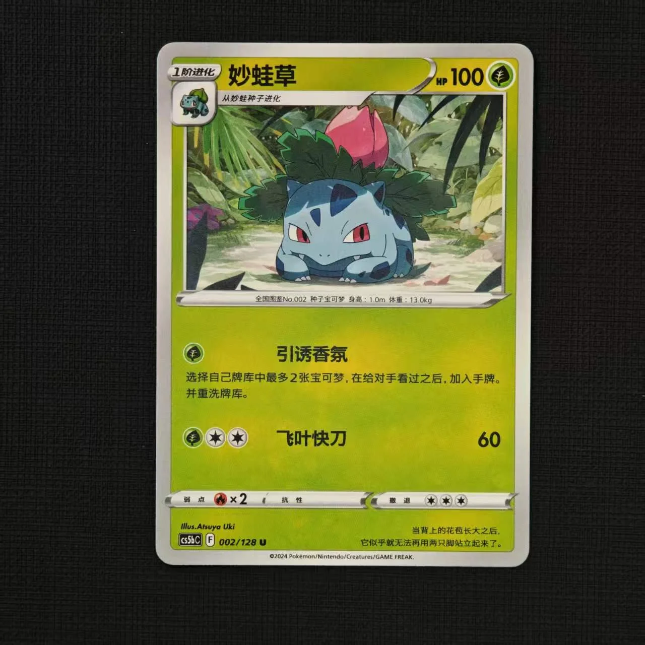 ivysaur-cs5bc-002-128-u.jpg