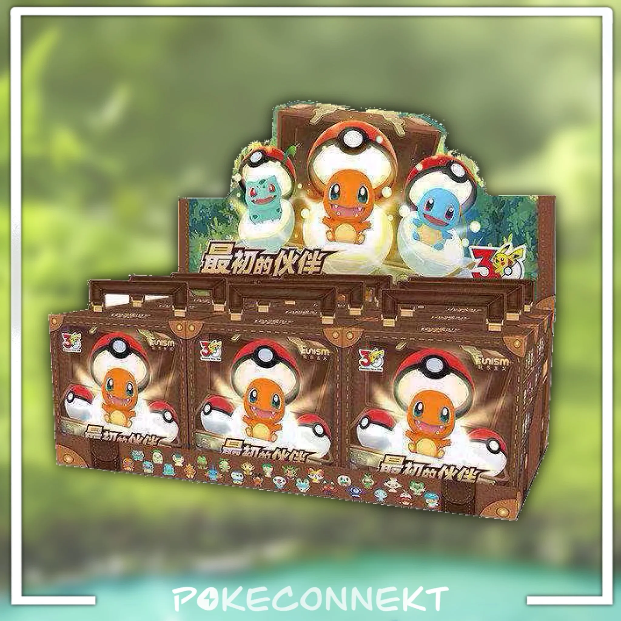 30th-anniversary-started-pokemon-mini-briefcase-case.jpg