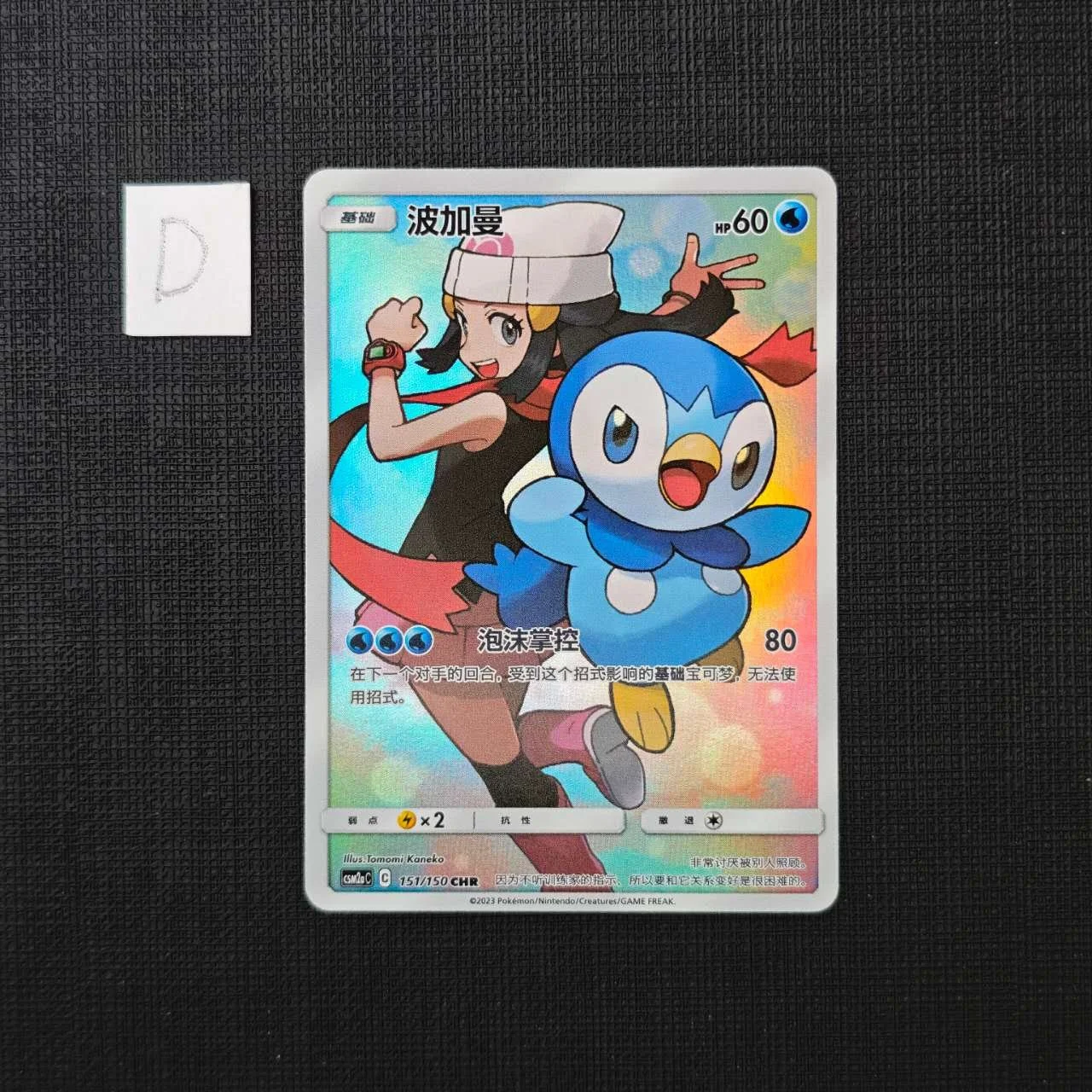 PIPLUP-CSM2C-151-150-CHR-D.jpg