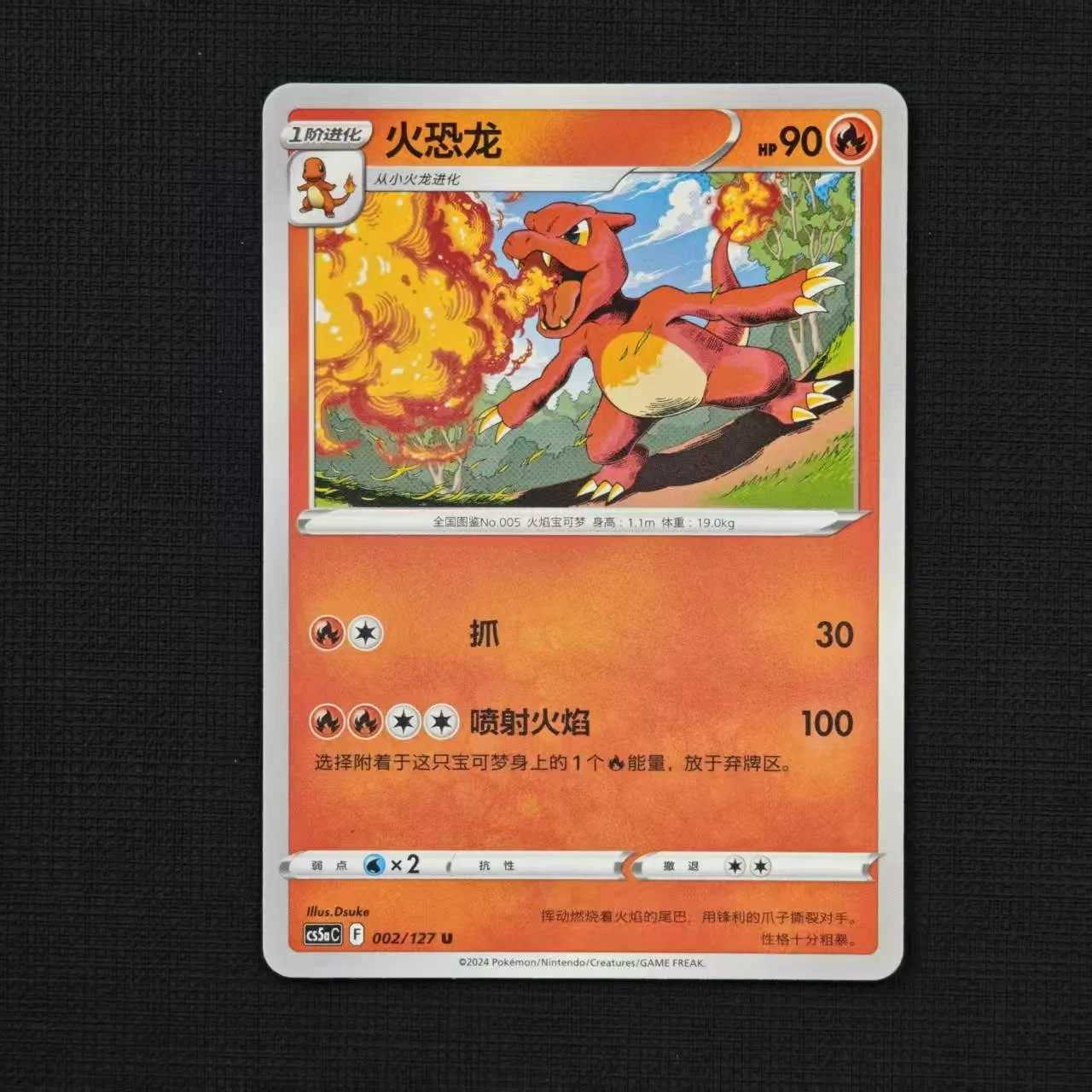 charmeleon-cs5ac-002-127-U.jpg