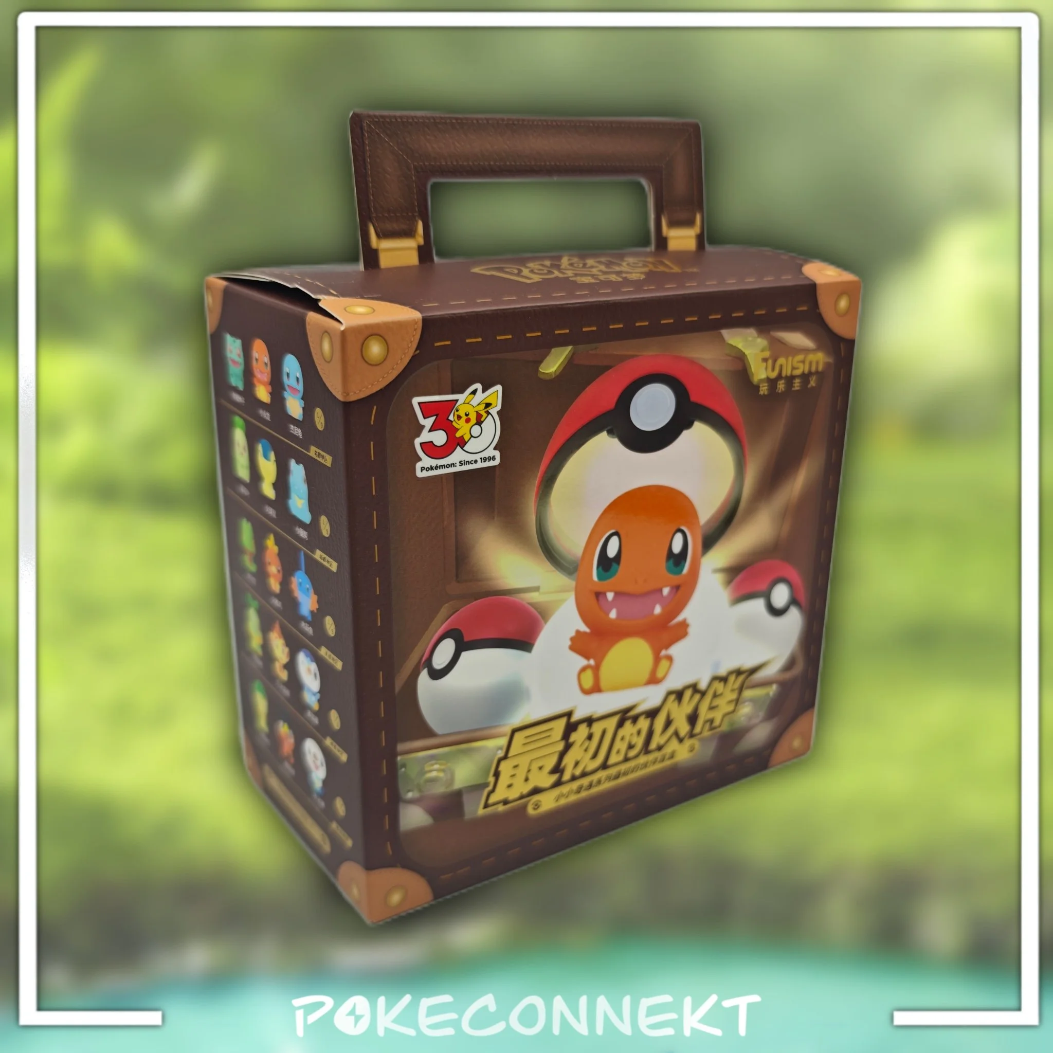 30th-anniversary-started-pokemon-mini-briefcase-.jpg
