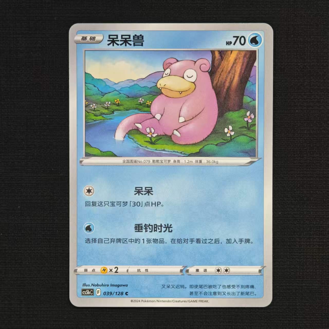 slowpoke-cs5ac-039-128-c.jpg