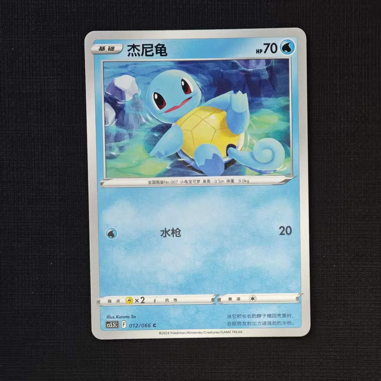 squirtle-cs5.5c-012-066-c.jpg