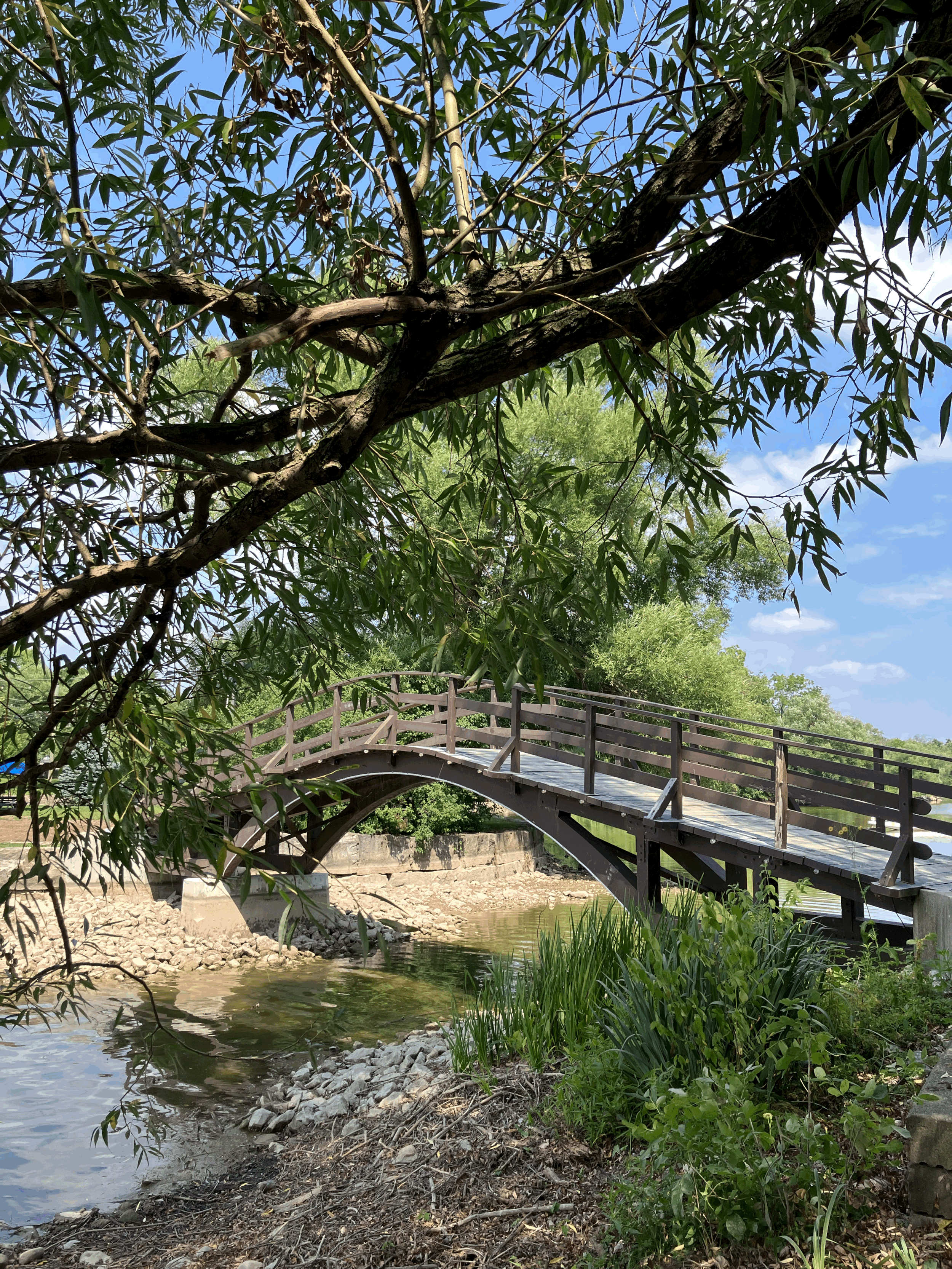 Terminated Without Cause? It Can Still Be Wrongful Dismissal