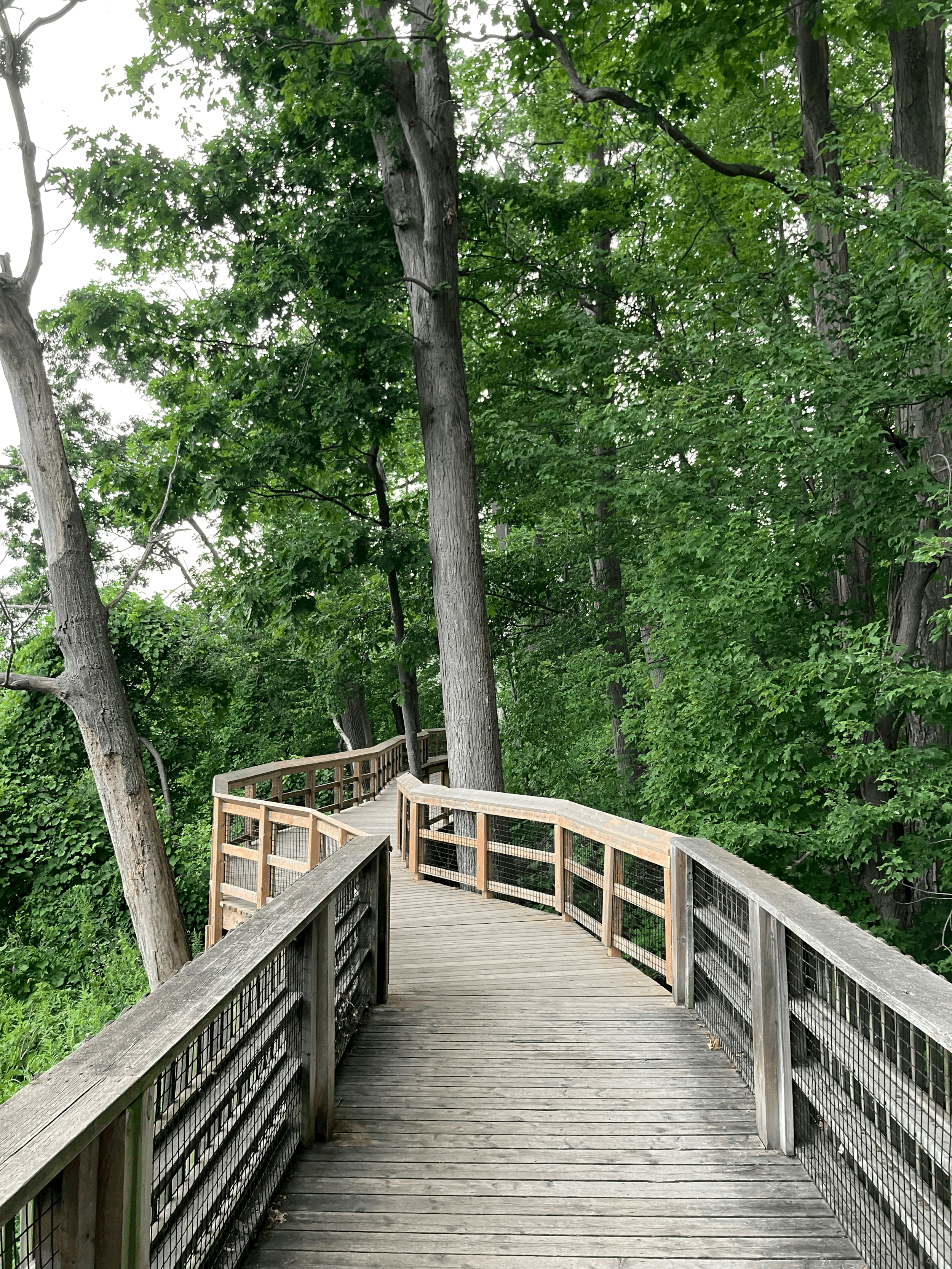 Dismissal for Cause: The High Bar Employers Must Clear